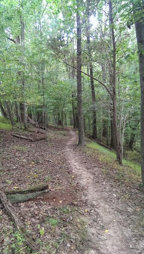 A winding dirt path through a lush, green forest, flanked by tall trees and underbrush, creating a serene natural setting. Seneca Creek Greenway Trail mountain bike trail.