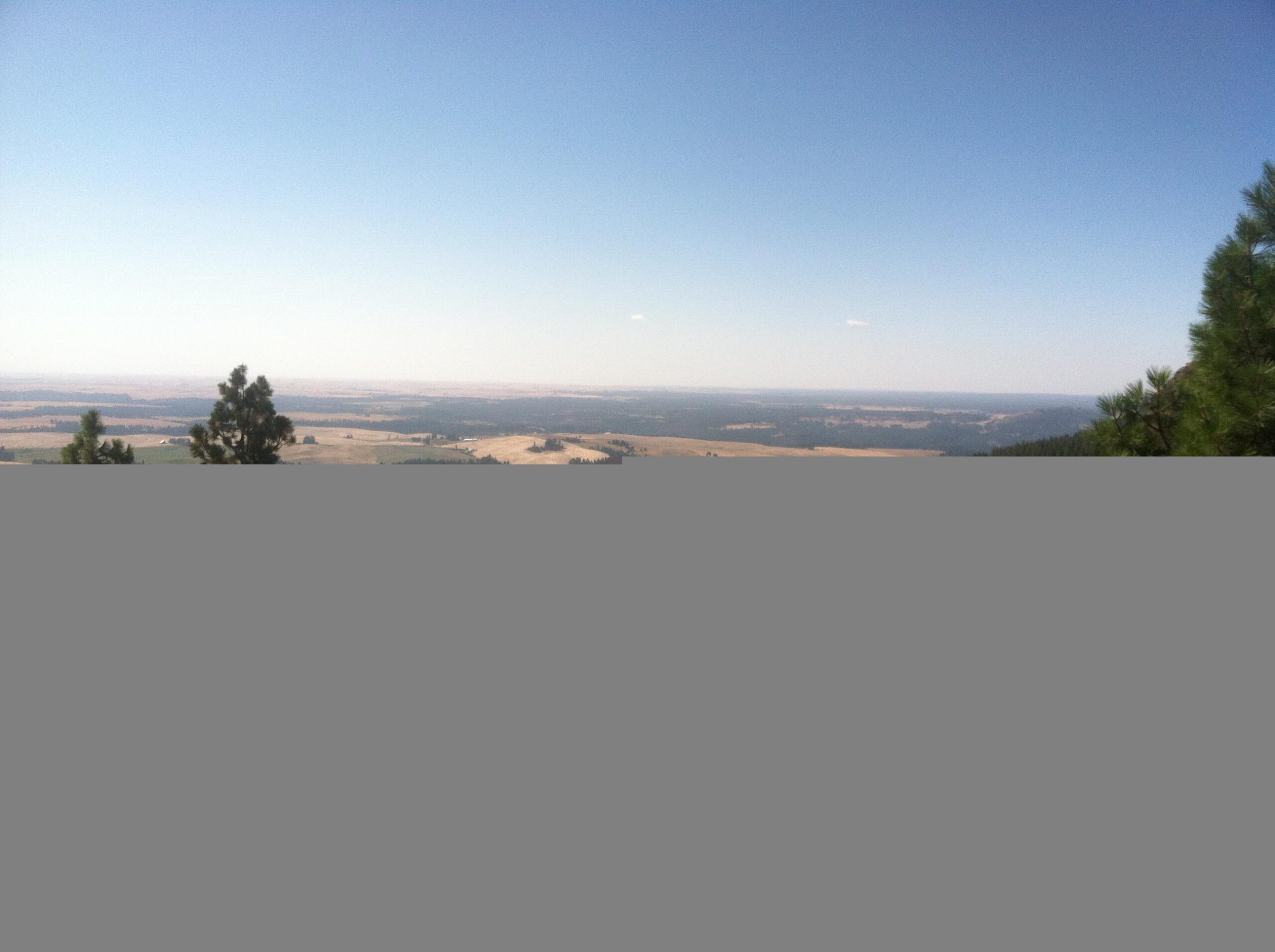 A panoramic view of a landscape featuring rolling hills and fields under a clear blue sky, with a few wispy clouds. The foreground includes some trees, while the horizon showcases a mix of green forests and golden fields. Iller Creek Loop mountain bike trail.