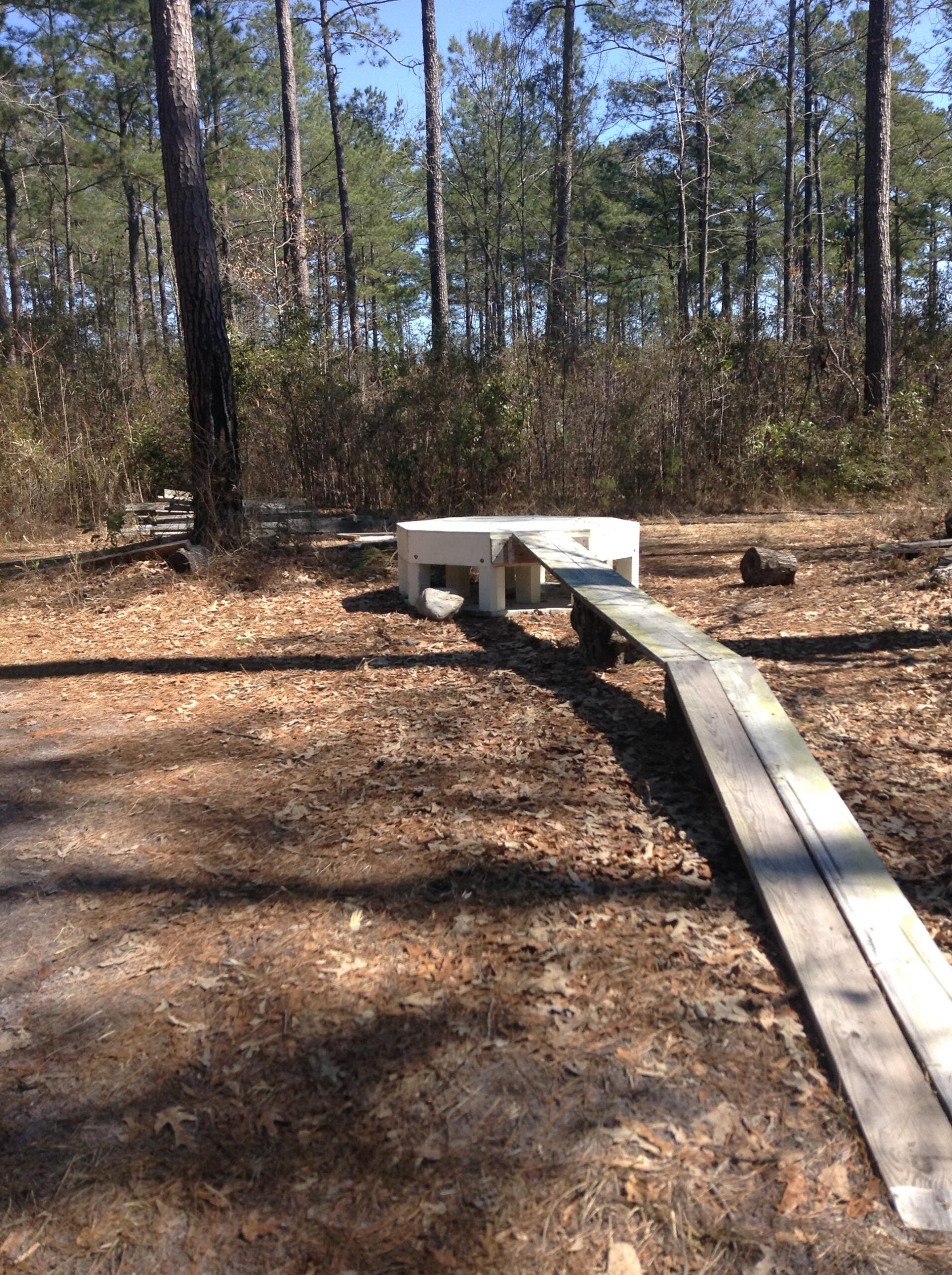 A wooden walkway leads to a small, circular structure in a clearing surrounded by tall pine trees. The ground is covered with fallen leaves and pine needles, with some logs scattered nearby. The scene is set under a clear blue sky, depicting a natural, wooded area. Henderson Pond / Camp Lejeune mountain bike trail.