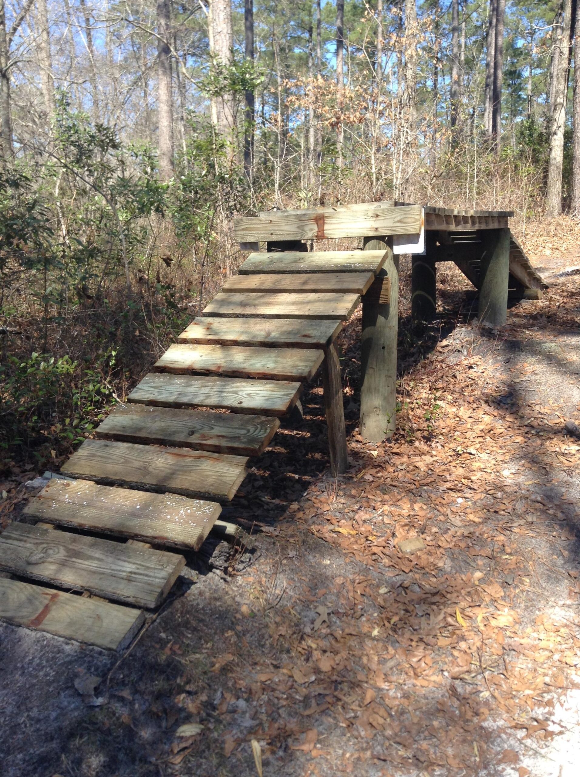 Wooden ramp leading up to a raised platform in a wooded area, surrounded by trees and scattered leaves on the ground. The ramp has several planks forming a sloped path to the platform, which is supported by wooden posts. Henderson Pond / Camp Lejeune mountain bike trail.