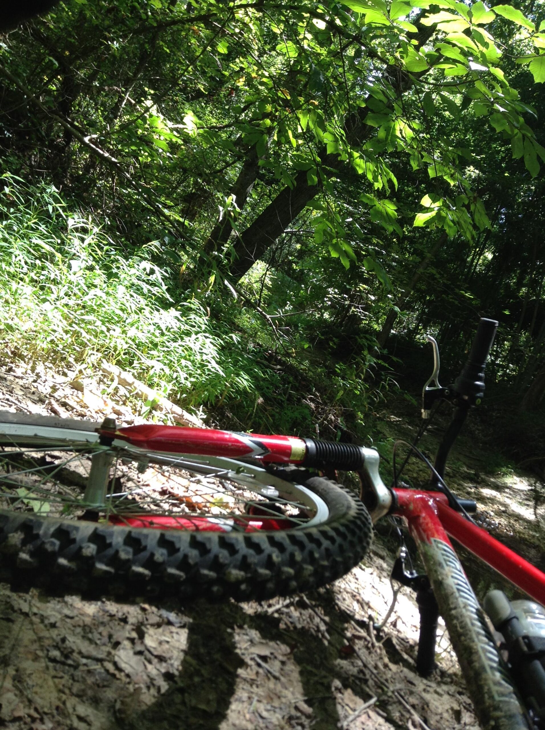 A red mountain bike lies on its side on a dirt path surrounded by lush green foliage and trees. Sunlight filters through the leaves, casting dappled shadows on the ground. Rappahanock River Trail mountain bike trail.
