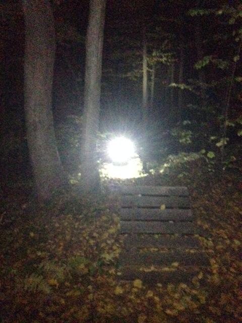 A dimly lit forest scene at night featuring a wooden bench in the foreground, with a bright light source illuminating the background through the trees. Fallen leaves cover the ground, creating a serene yet eerie atmosphere. Moon Lake Park mountain bike trail.