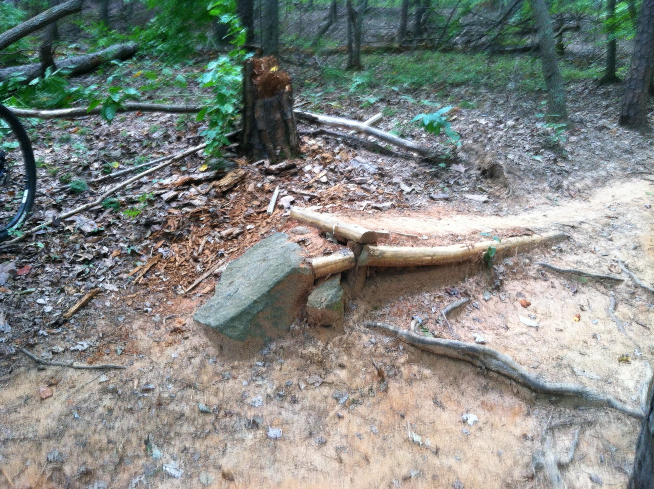 A rocky obstacle on a forest trail, surrounded by leaves and fallen branches, with a tree stump visible in the background. Colonel Francis Beatty Park mountain bike trail.