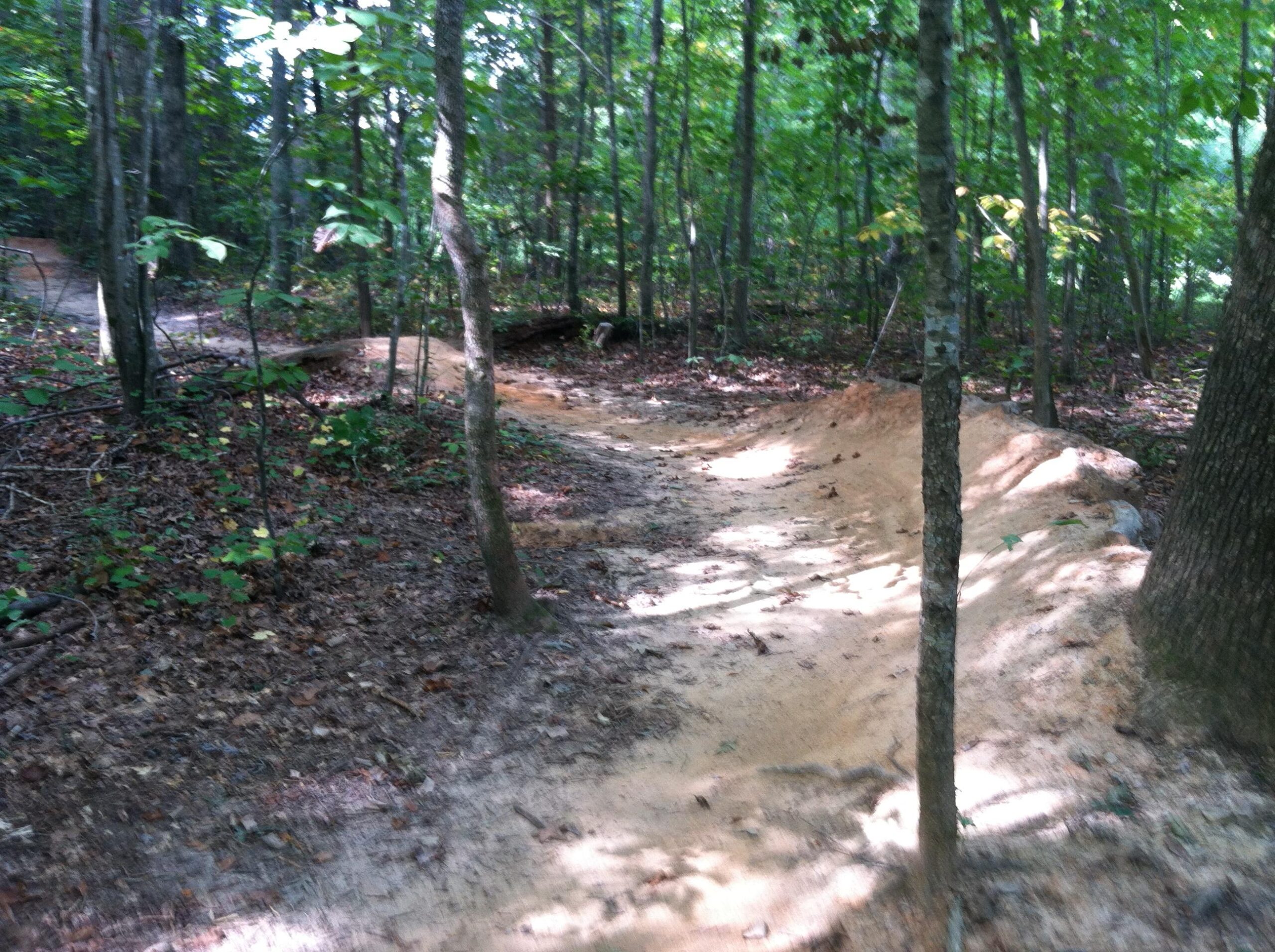 A winding dirt trail through a forested area, surrounded by trees and scattered leaves on the ground. Sunlight filters through the foliage, illuminating the sandy surface of the path. Colonel Francis Beatty Park mountain bike trail.