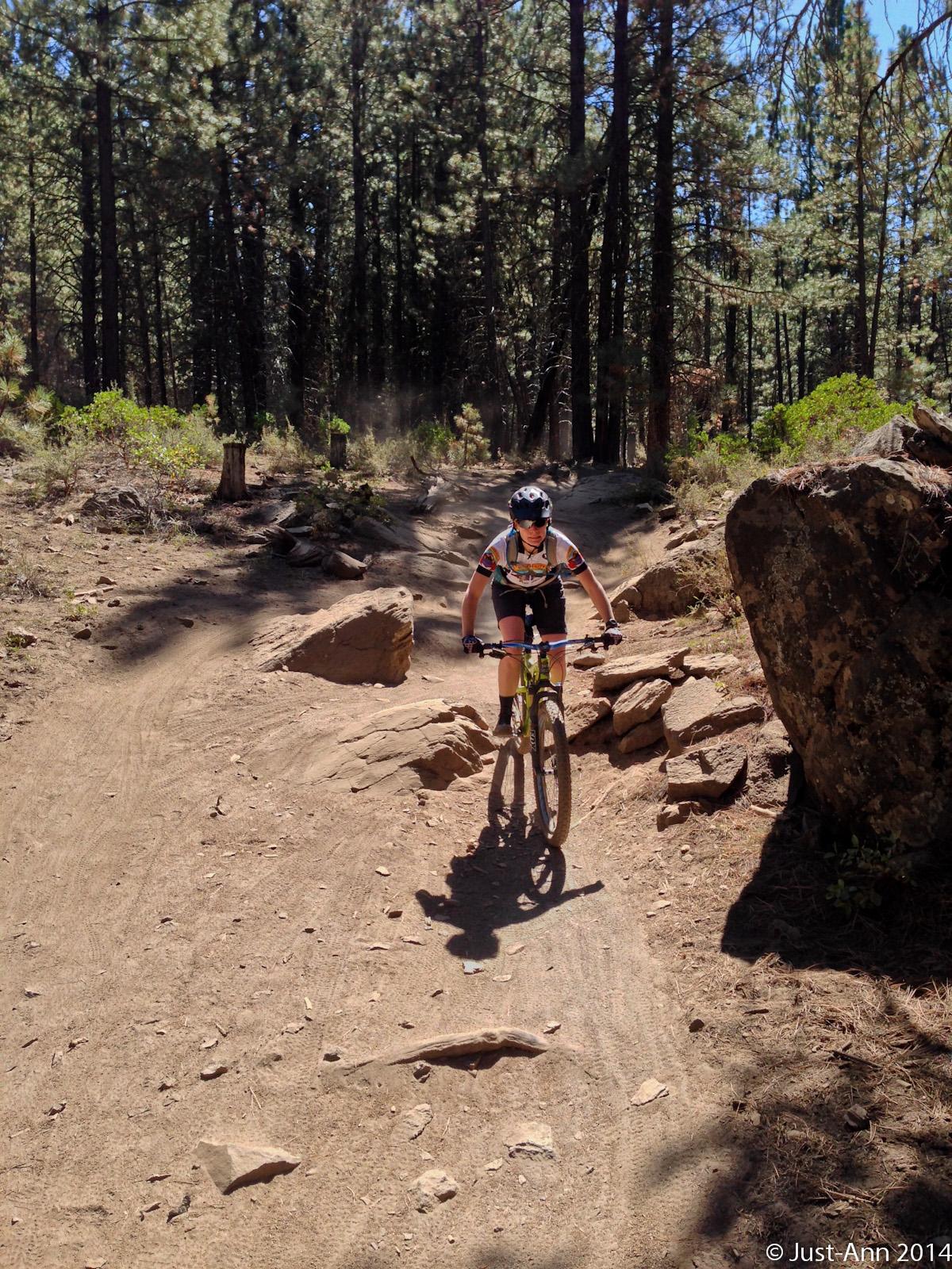 A mountain biker navigates a rocky trail in a wooded area, surrounded by tall pine trees and patches of sunlight filtering through the foliage. The rider is wearing a helmet and cycling gear, captured in motion as they traverse the uneven terrain. Phil's Area mountain bike trail.