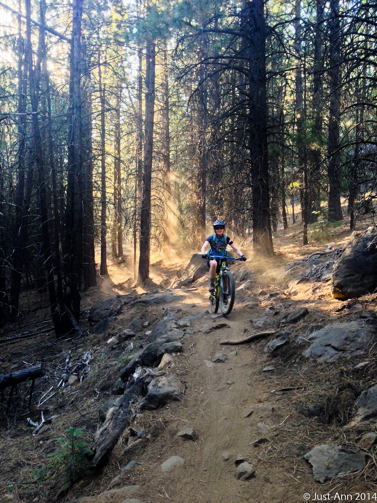 A person riding a mountain bike on a rugged trail through a sunlit forest, surrounded by tall trees and scattered rocks, with dust rising around them. Funner mountain bike trail.