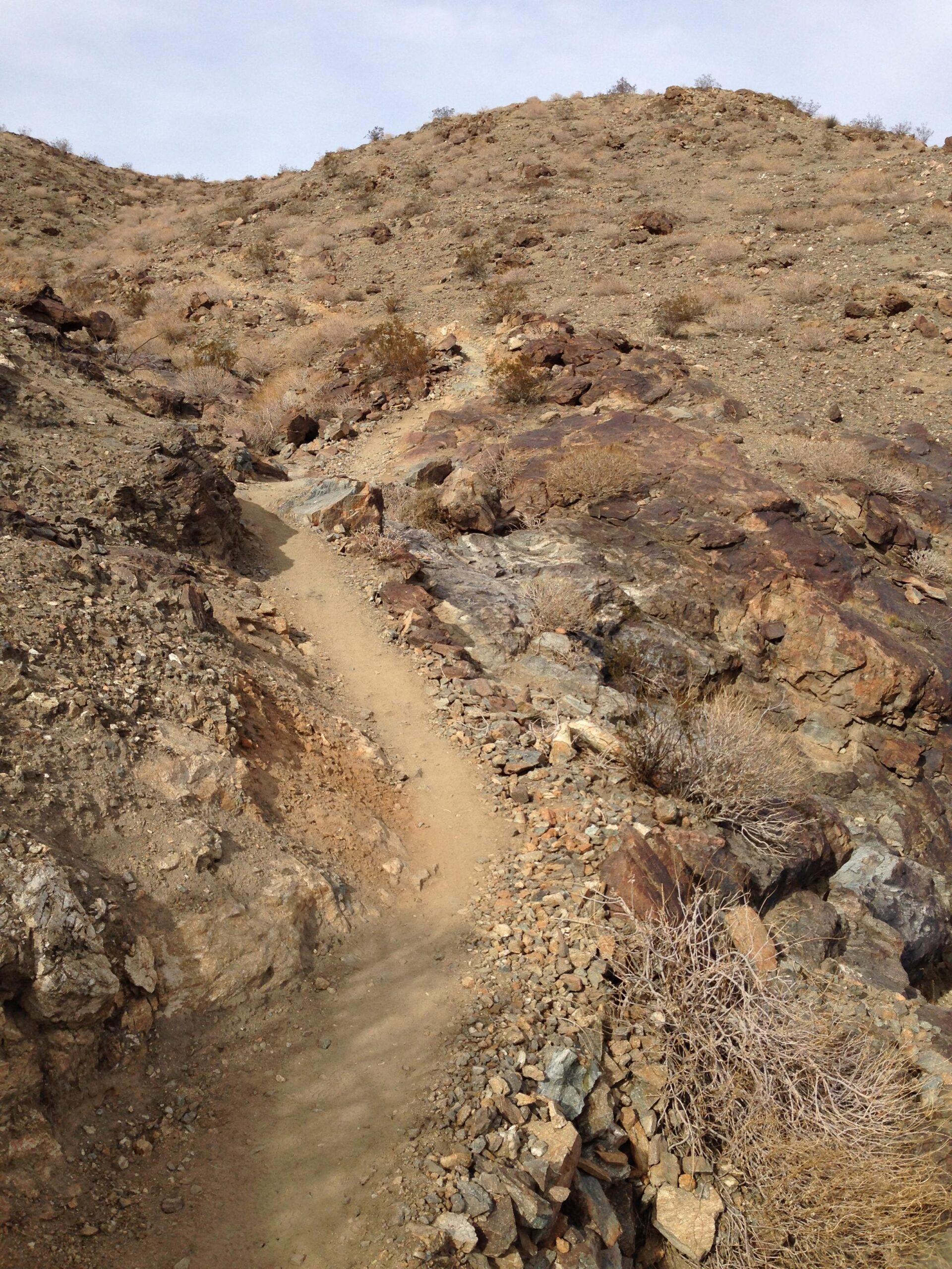 A narrow dirt trail winding through rocky terrain on a hill, surrounded by sparse vegetation and dry shrubs under a cloudy sky. The Goat Trails mountain bike trail.