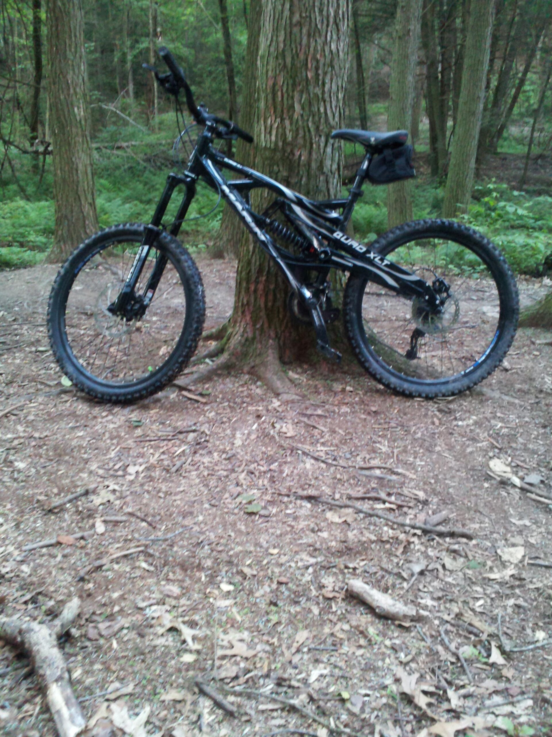 Marin 2007 Marin Quake 7.1: A black mountain bike leaning against a tree in a wooded area, surrounded by greenery and fallen leaves on the ground.