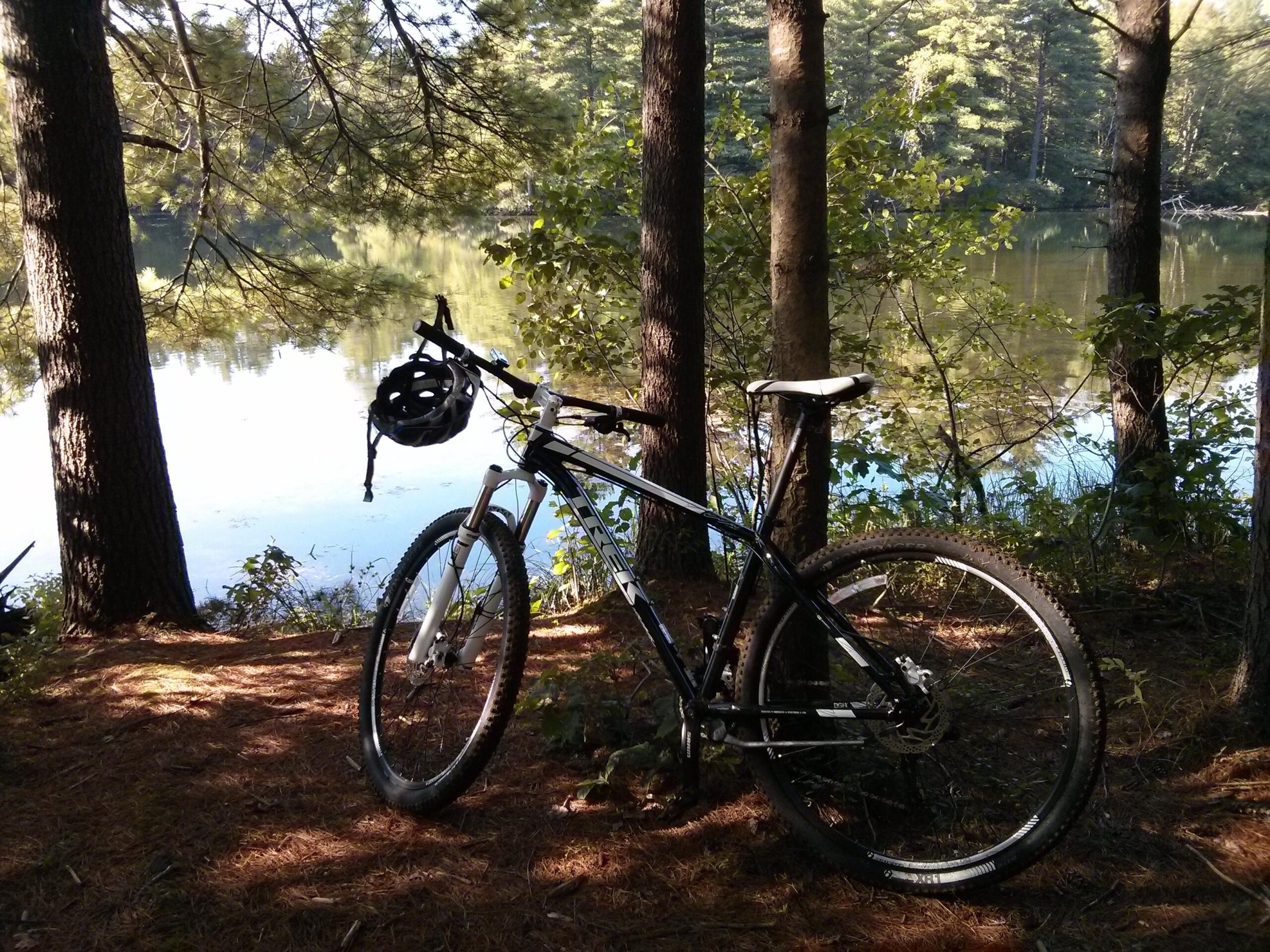Trek X-Caliber 8: A mountain bike leaning against a tree near a calm lake, surrounded by lush greenery and pine trees. A helmet hangs from the handlebars, and the scene is illuminated by soft sunlight filtering through the leaves.