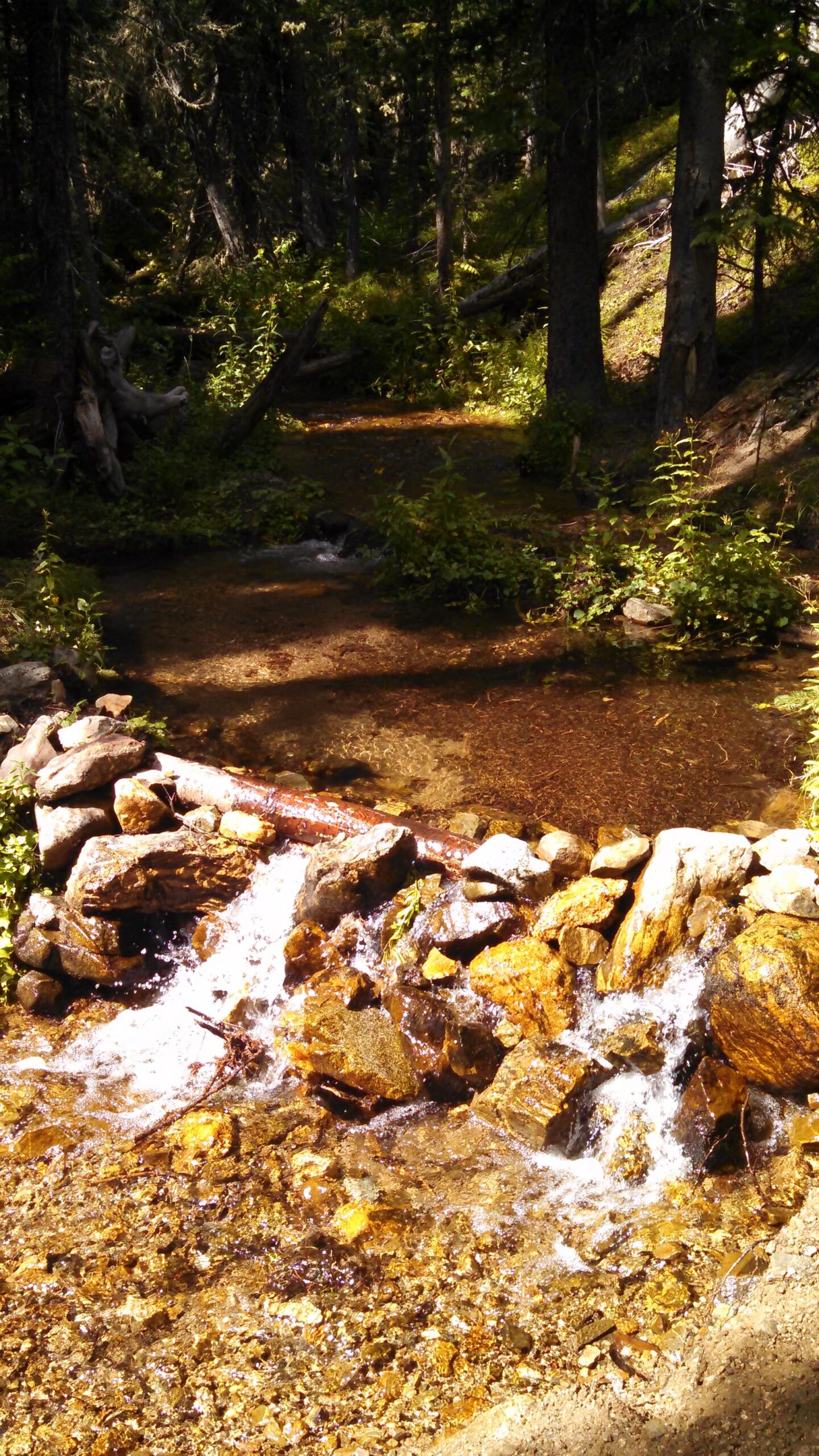 A serene forest scene featuring a small stream with clear water flowing over a rocky bed. The surrounding area is lush with greenery, including trees and plants, illuminated by soft sunlight filtering through the foliage. A small stone structure is visible alongside the stream, enhancing the natural landscape. Peaks Trail mountain bike trail.