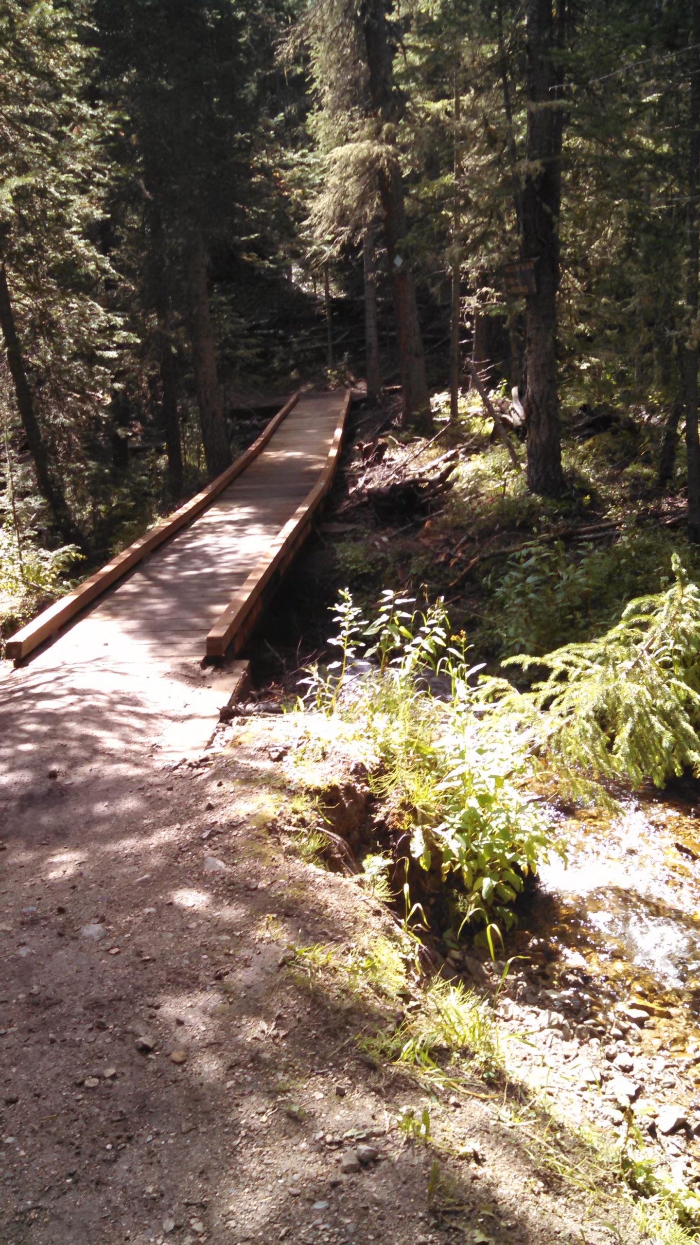 A wooden bridge extends over a small stream in a dense forest, surrounded by tall trees and lush greenery. Sunlight filters through the foliage, casting dappled shadows on the path leading to the bridge. Peaks Trail mountain bike trail.