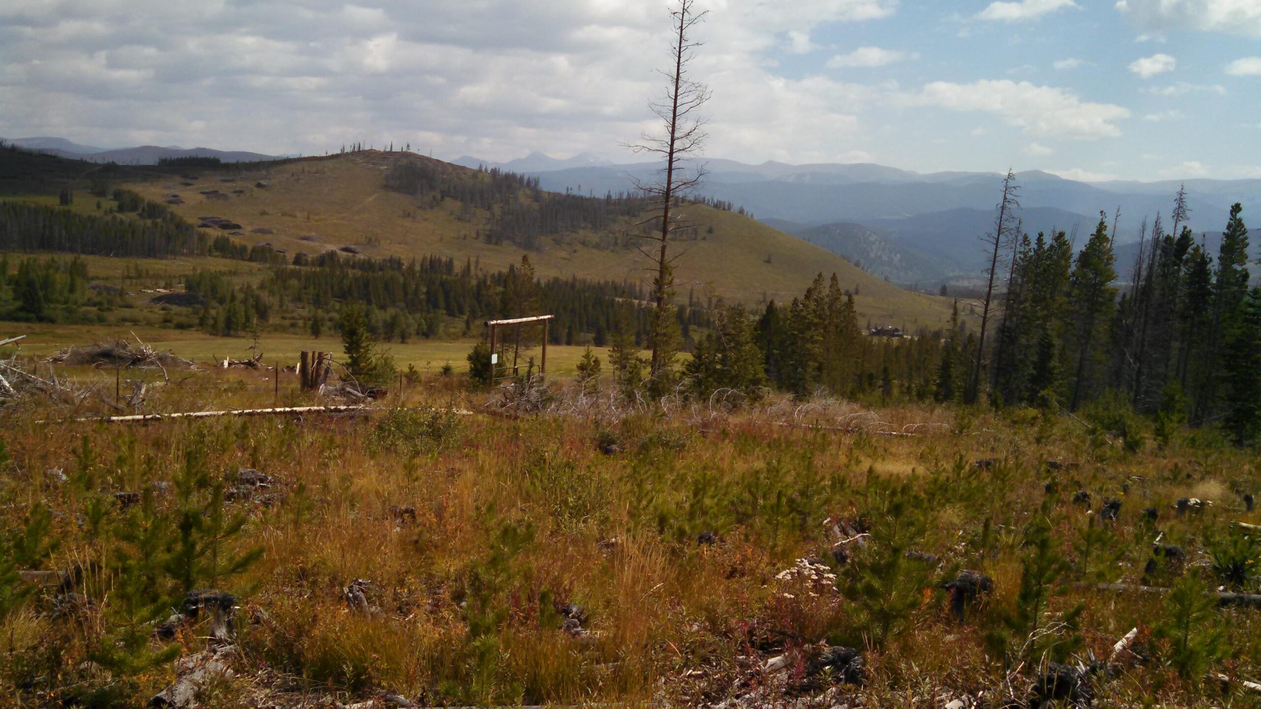 A panoramic view of a mountainous landscape featuring rolling hills, scattered trees, and a clear blue sky with clouds. In the foreground, a variety of grasses and shrubs are visible, along with a few fallen logs. The background includes distant mountains, creating a serene natural setting. Peaks Trail mountain bike trail.