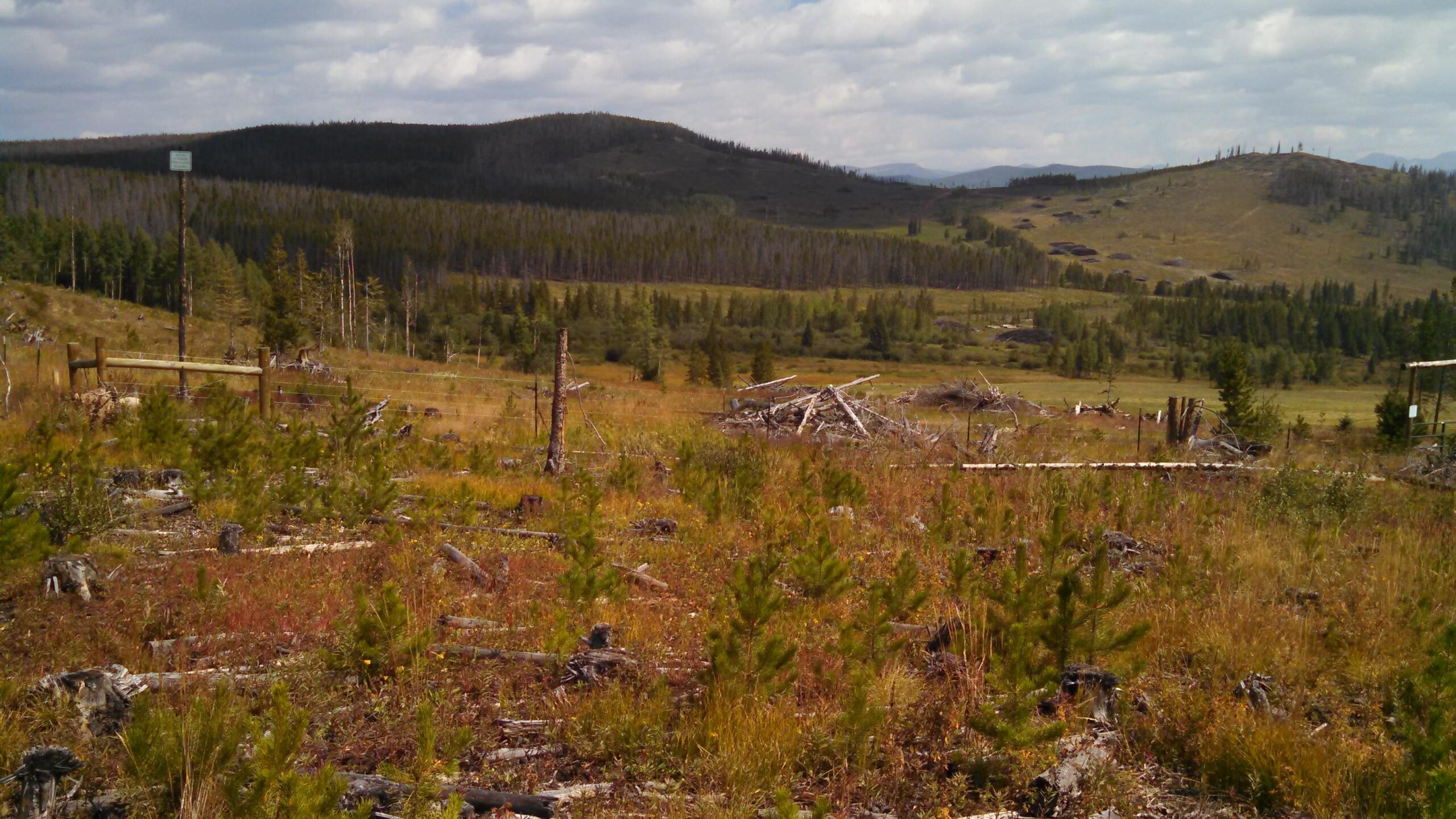A scenic view of a partially cleared meadow surrounded by mountains, featuring patches of green trees and scattered logs in the foreground. The sky is partly cloudy, and a wooden fence can be seen on the left side of the image. Peaks Trail mountain bike trail.