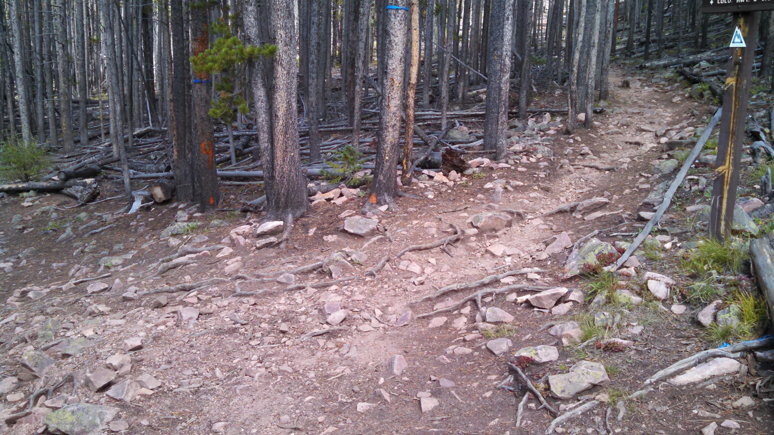 A dirt hiking trail winding through a dense forest, surrounded by tall trees. The path is rocky and uneven, featuring visible roots and stones. A trail sign is positioned on the right, partially obscured by branches. Peaks Trail mountain bike trail.