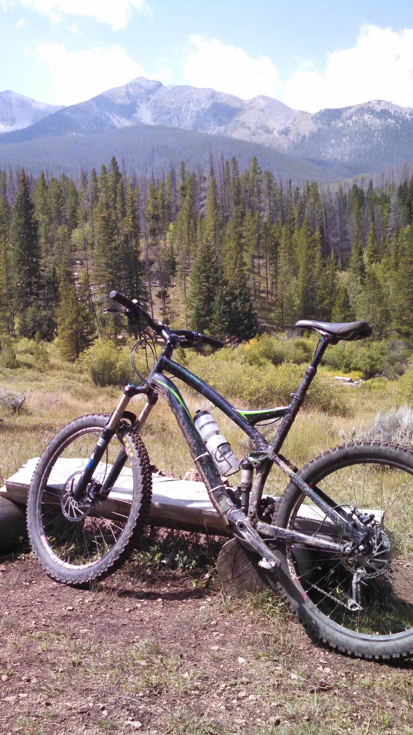 A mountain bike leaning against a log in a forested area, with tall pine trees and mountains in the background under a partly cloudy sky. Peaks Trail mountain bike trail.