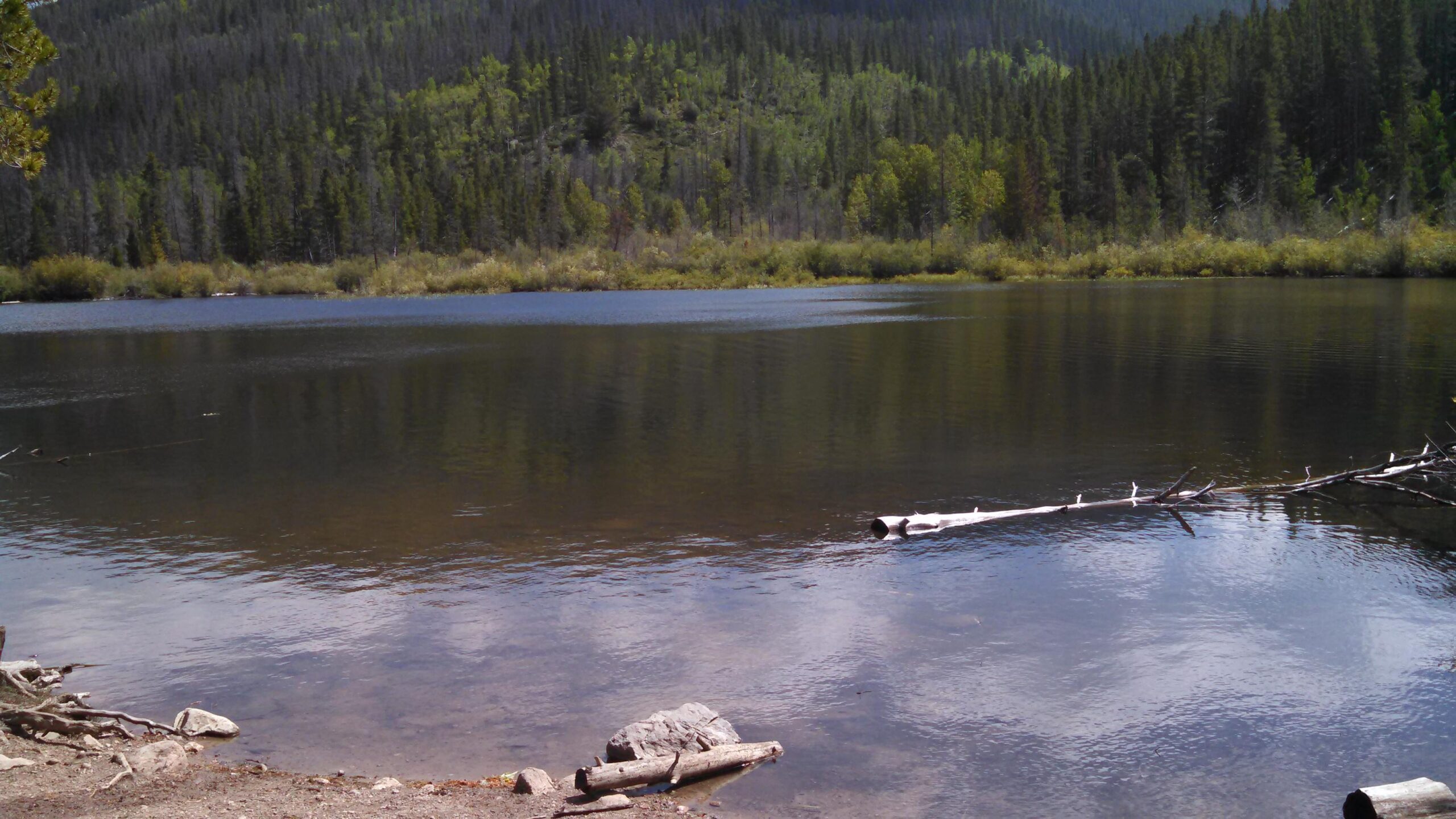 A tranquil scene featuring a calm lake surrounded by lush greenery, with a backdrop of rolling hills and trees. The water reflects the natural landscape, while a few logs and rocks are visible along the shoreline. Peaks Trail mountain bike trail.