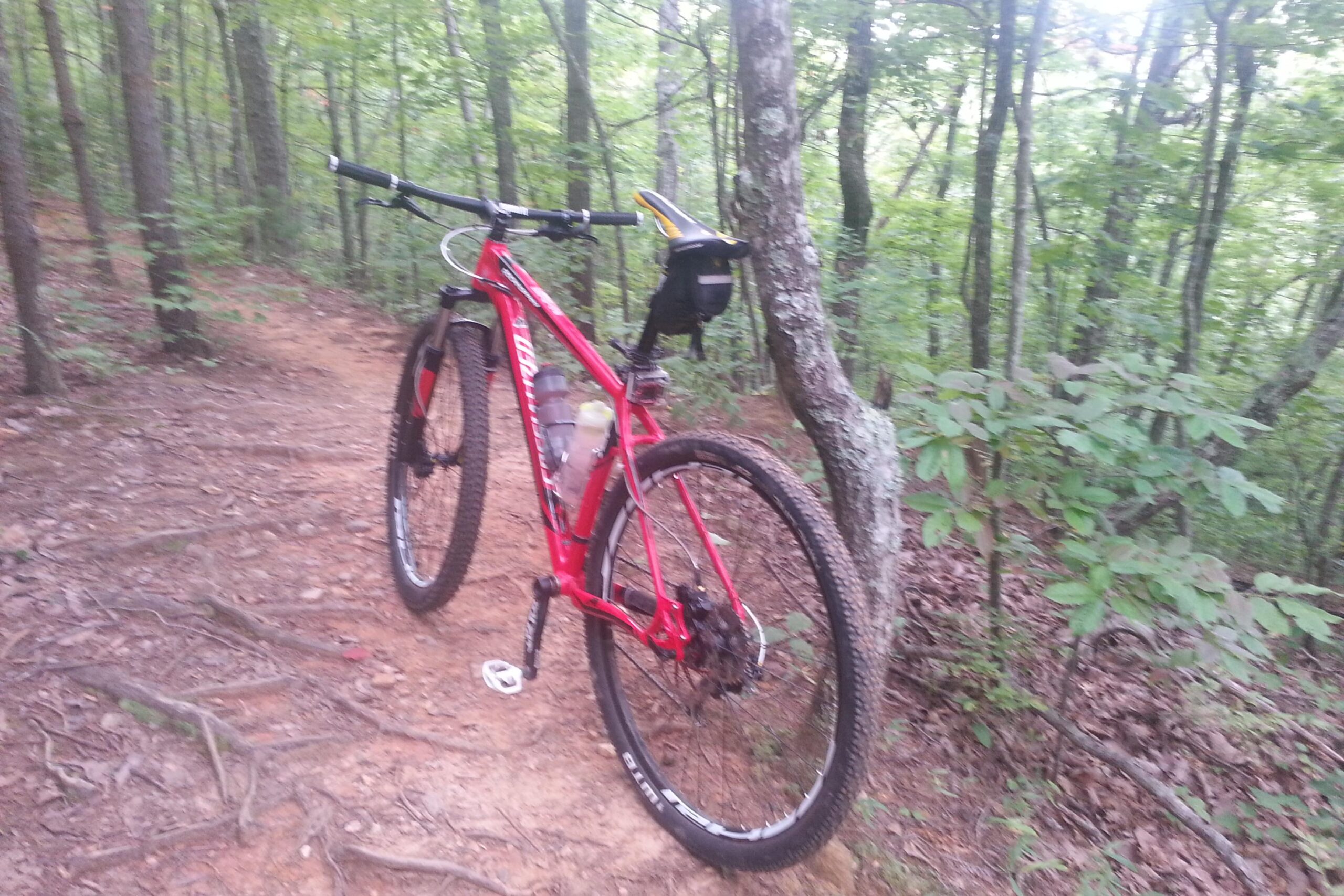 A red mountain bike is parked on a dirt trail surrounded by trees and greenery. The gravel path is intertwined with exposed roots, showcasing a natural forest setting ideal for cycling. A water bottle is mounted on the bike frame, highlighting its readiness for an outdoor adventure. Aska Trail System mountain bike trail.