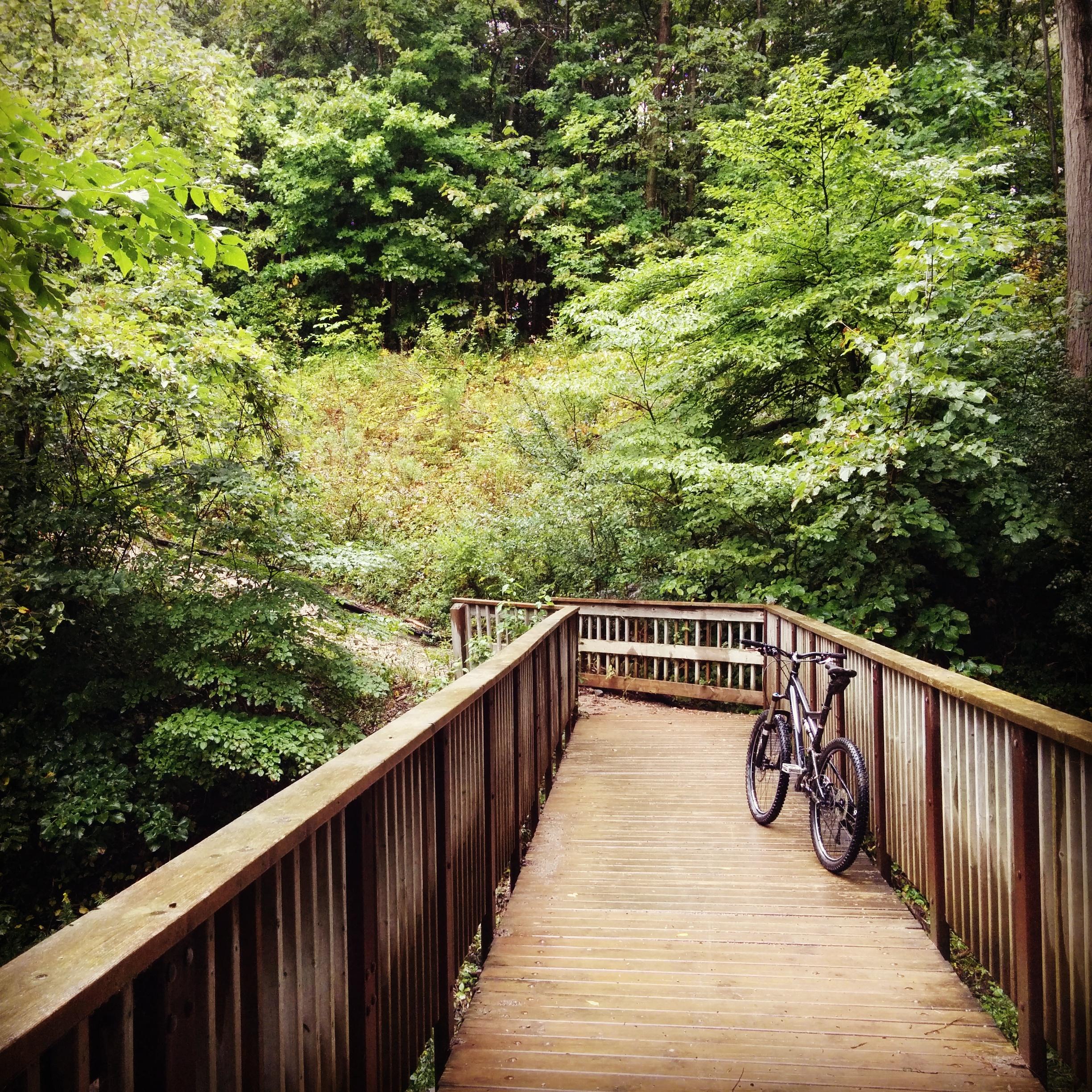 A wooden bridge surrounded by lush greenery, with a mountain bike parked on the railing. The scene captures a tranquil moment in a forested area, inviting exploration of nature. Fanshawe Lake mountain bike trail.