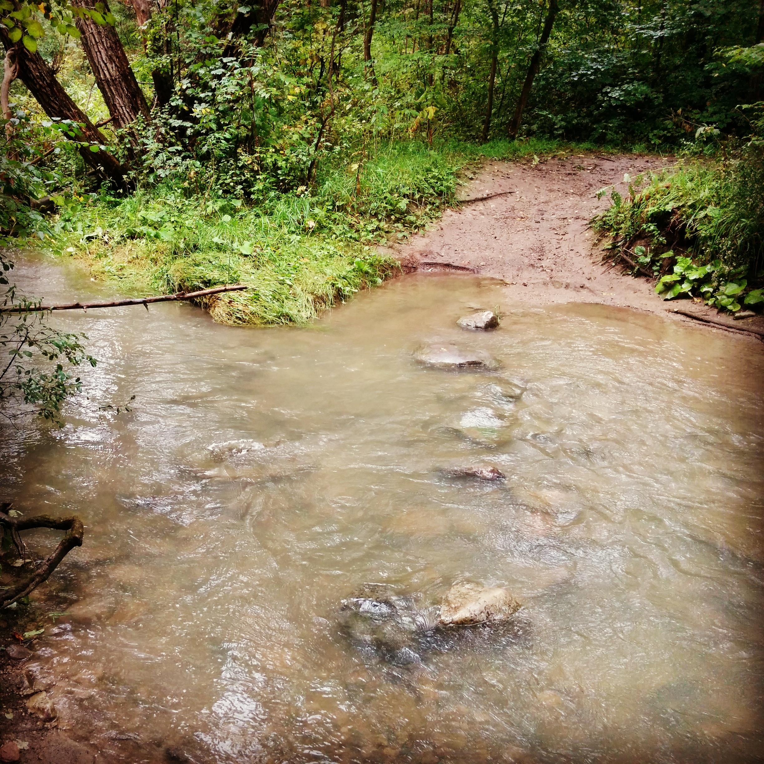 A shallow creek flows between grassy banks, with rounded stones visible just beneath the water's surface. A muddy path leads away from the water, surrounded by lush green vegetation and trees. Fanshawe Lake mountain bike trail.
