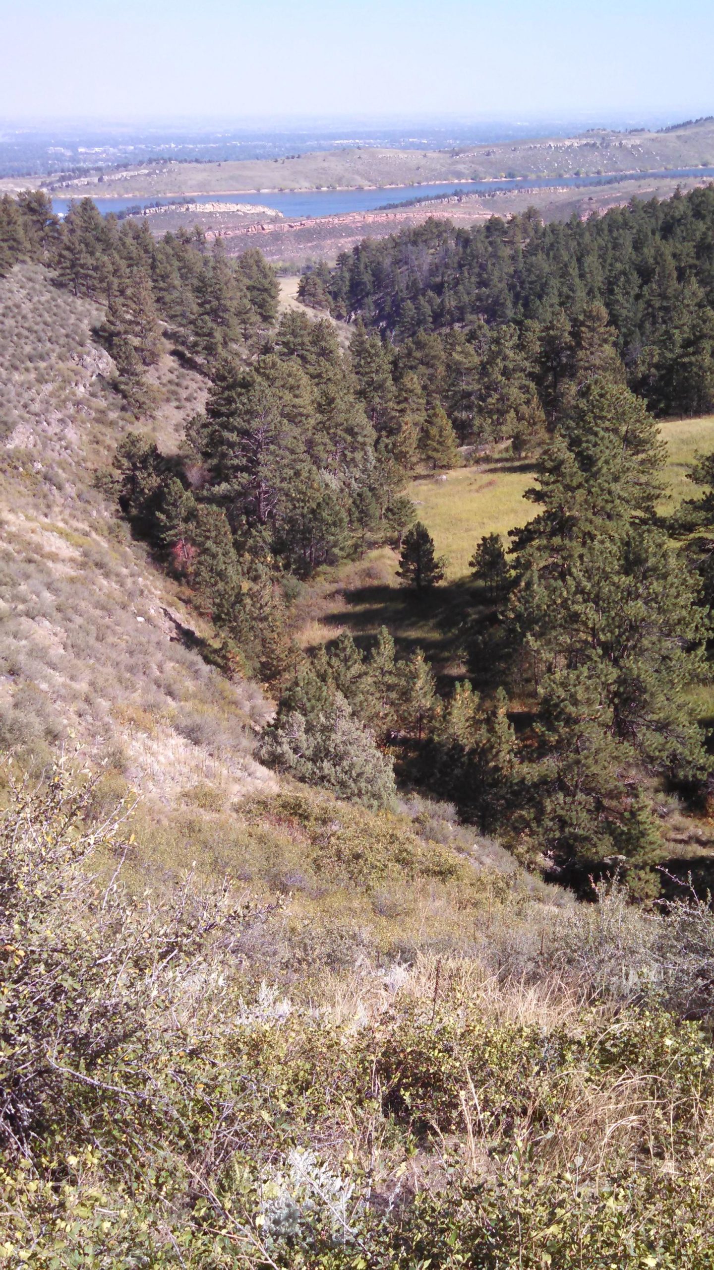A scenic view of a valley surrounded by hills and dense trees, with a river flowing in the distance. The landscape features a mix of grassy areas and rugged terrain under clear blue skies. The natural environment showcases a blend of greenery and dry vegetation. Lory State Park mountain bike trail.