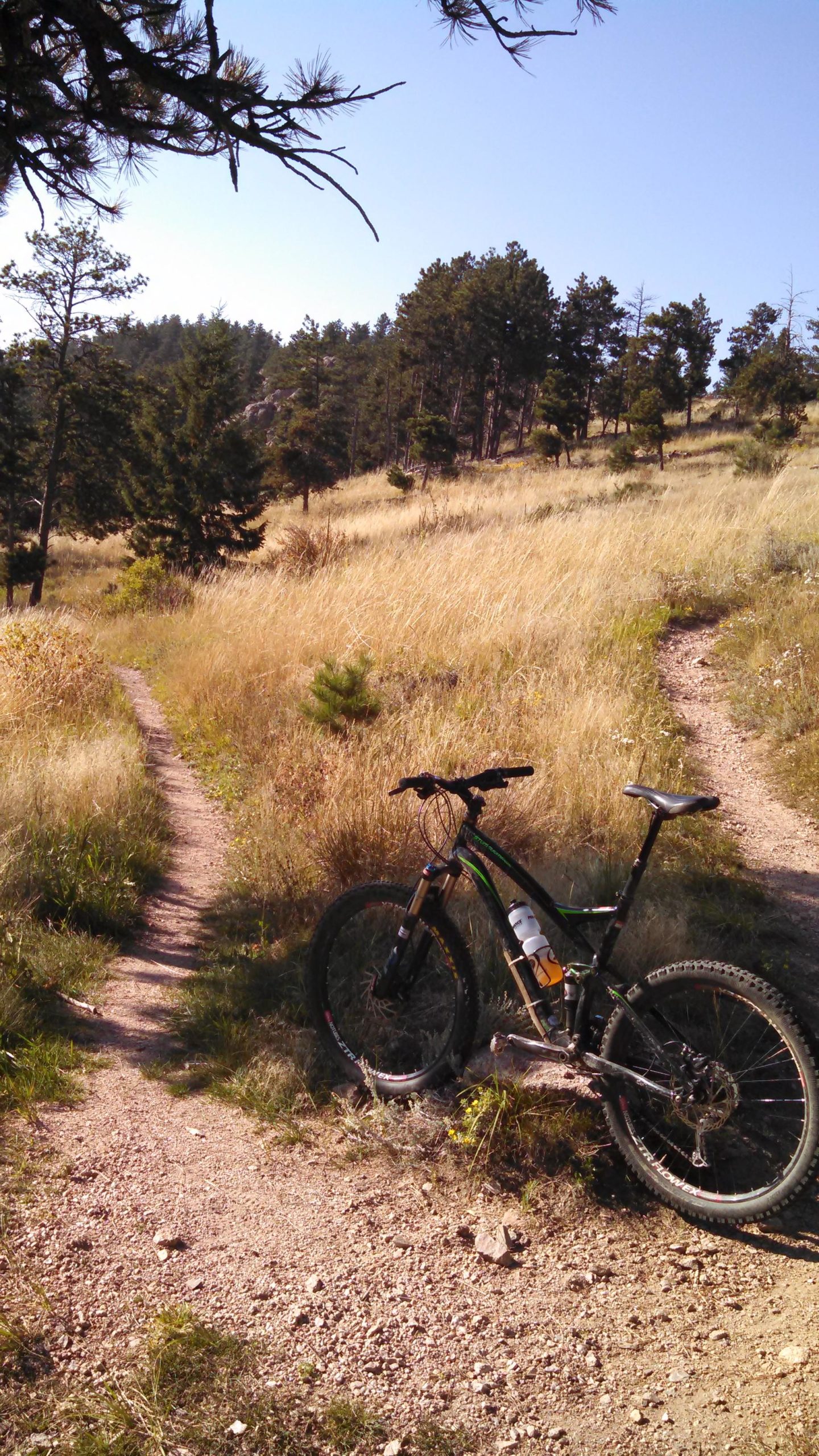 A mountain bike resting on the ground beside a dirt trail in a grassy, wooded area. The background features tall grasses and pine trees under a clear blue sky. Two intersecting trails lead into the distance, inviting outdoor adventure. Lory State Park mountain bike trail.