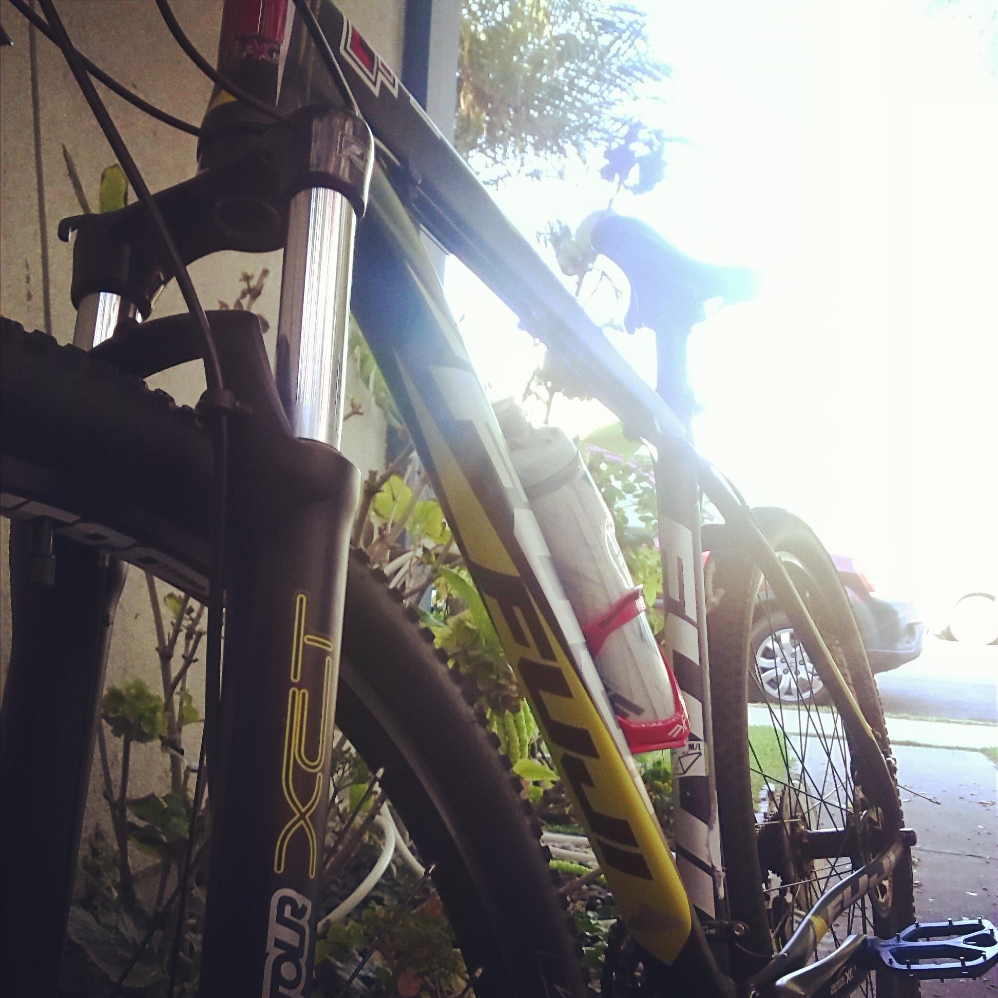 Fuji Nevada 29 1.0: Mountain bike parked near a wall, partially obscured by plants. The bike features a front suspension fork, a water bottle attached to the frame, and a bright color scheme. Sunlight is visible in the background, creating a soft glow.