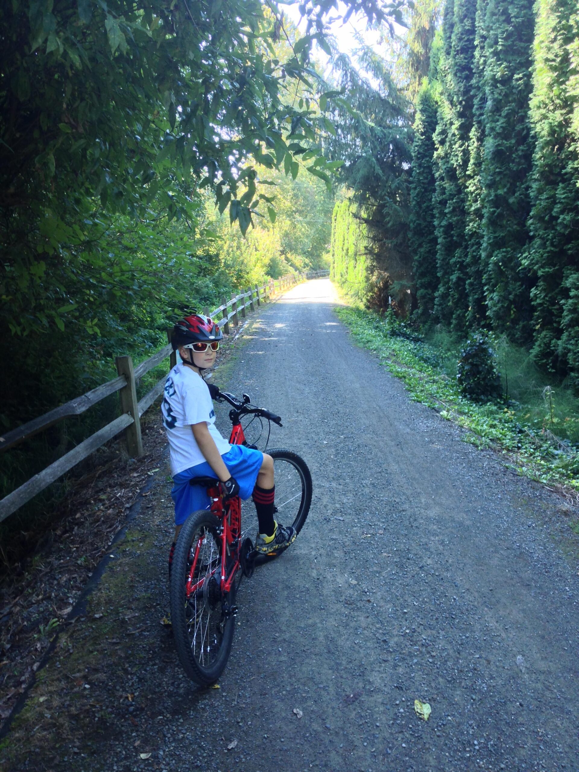 A young boy sitting on a red mountain bike along a gravel path in a lush, green environment. He is wearing a white t-shirt, blue shorts, and a helmet, with sunglasses on. The path is surrounded by tall trees and a wooden fence, creating a serene outdoor scene. East Lake Sammamish Trail mountain bike trail.