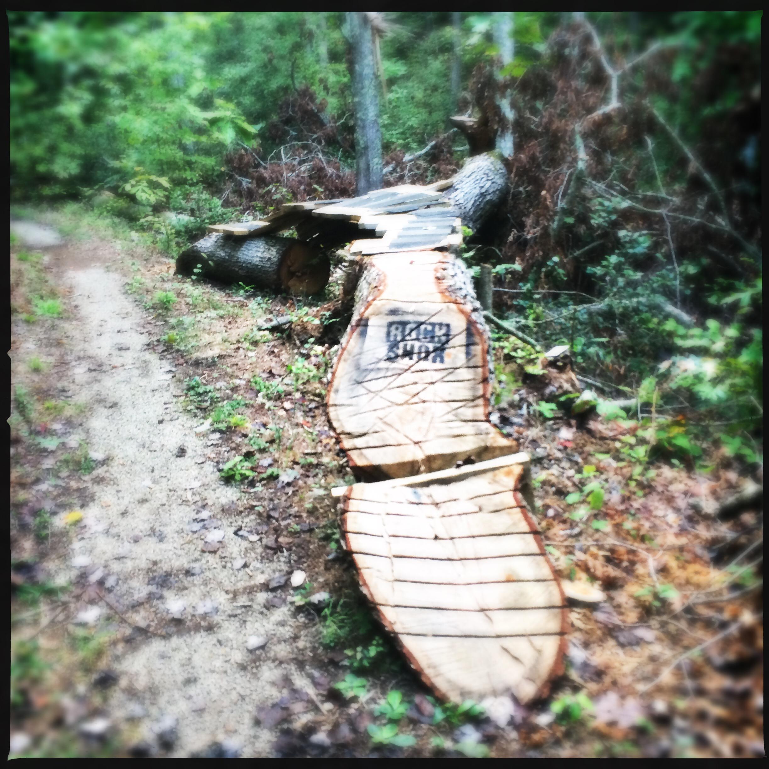 A wooden log with a carved pattern lies alongside a dirt path in a forested area. The log appears to have been cut and shaped, with an imprint that reads "BACKYARD." Surrounding foliage includes green leaves and scattered twigs, contributing to a natural, rustic atmosphere. Sheltowee Trace - Laurel Lake Trail mountain bike trail.
