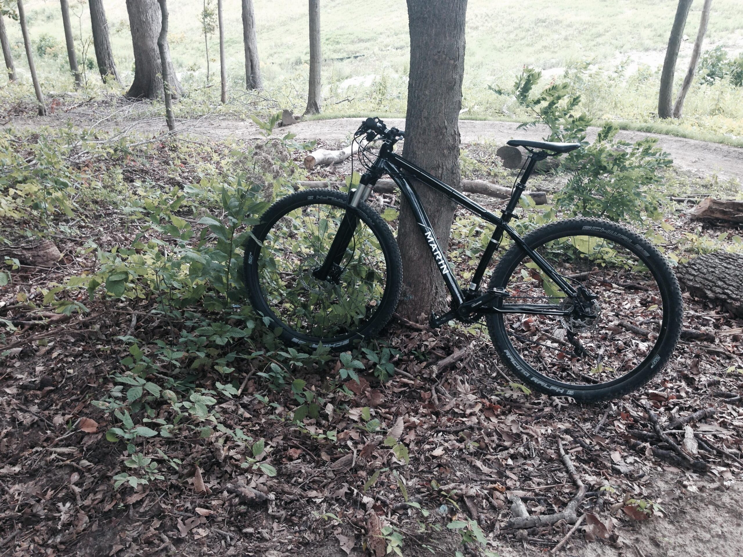Marin Nail Trail 29er 2014: A black mountain bike leaning against a tree in a wooded area, surrounded by green foliage and the ground covered with leaves. A dirt path is visible in the background.