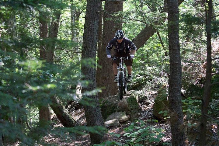 Haro Shift R1: A mountain biker navigating over rocky terrain in a dense forest, surrounded by trees and greenery. The rider is airborne as they jump off a rock, wearing a helmet and sports attire. Sunlight filters through the foliage, highlighting the natural setting.