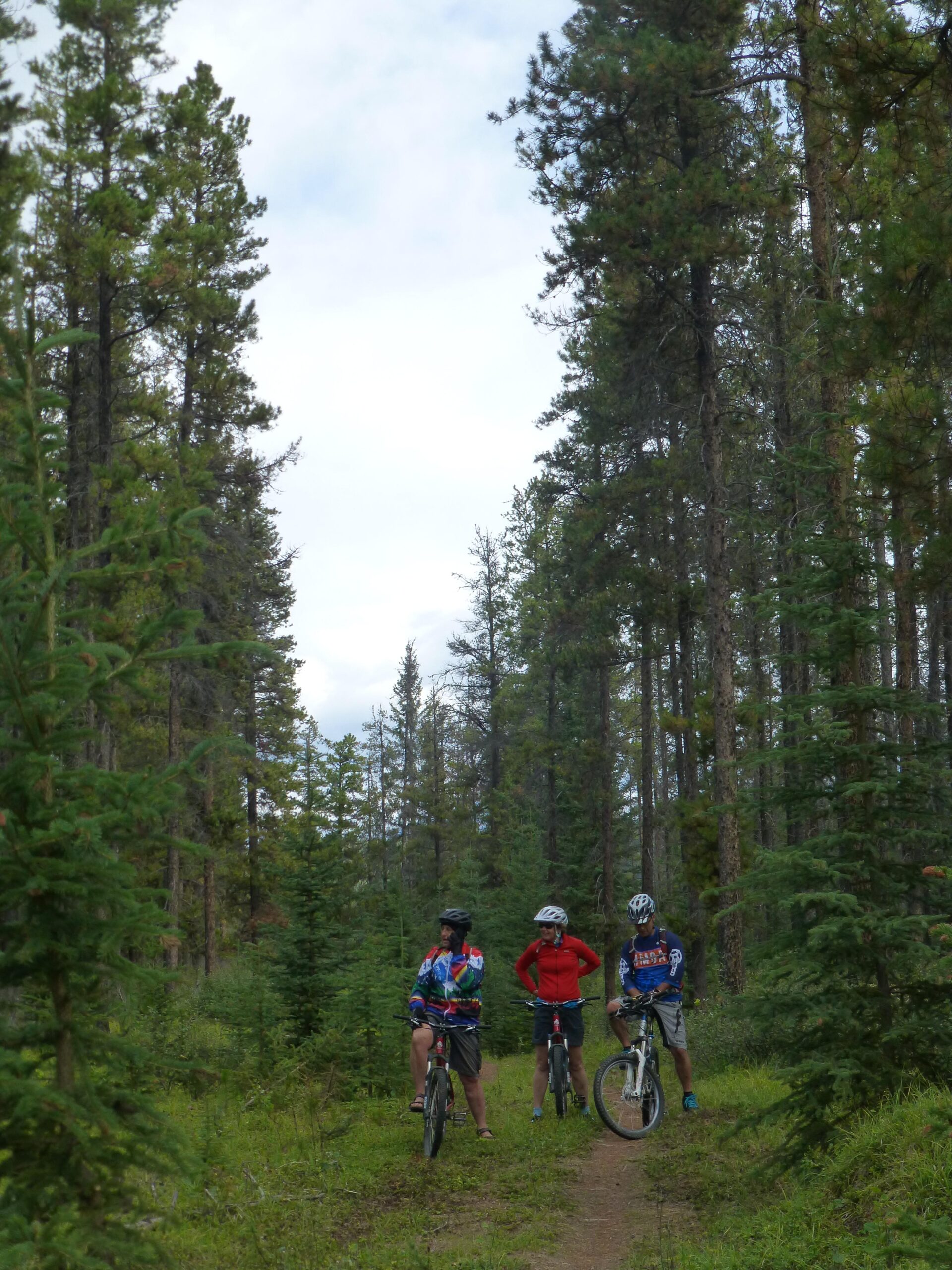 Three cyclists pause on a dirt trail surrounded by tall pine trees in a lush forest. One rider wears a colorful jersey, another is dressed in a red jacket, and the third sports a blue jersey. The sky is partly cloudy, adding to the serene outdoor atmosphere. 12 to 5 to 5 / Valley of the Five Lakes and Wabasso Lake mountain bike trail.