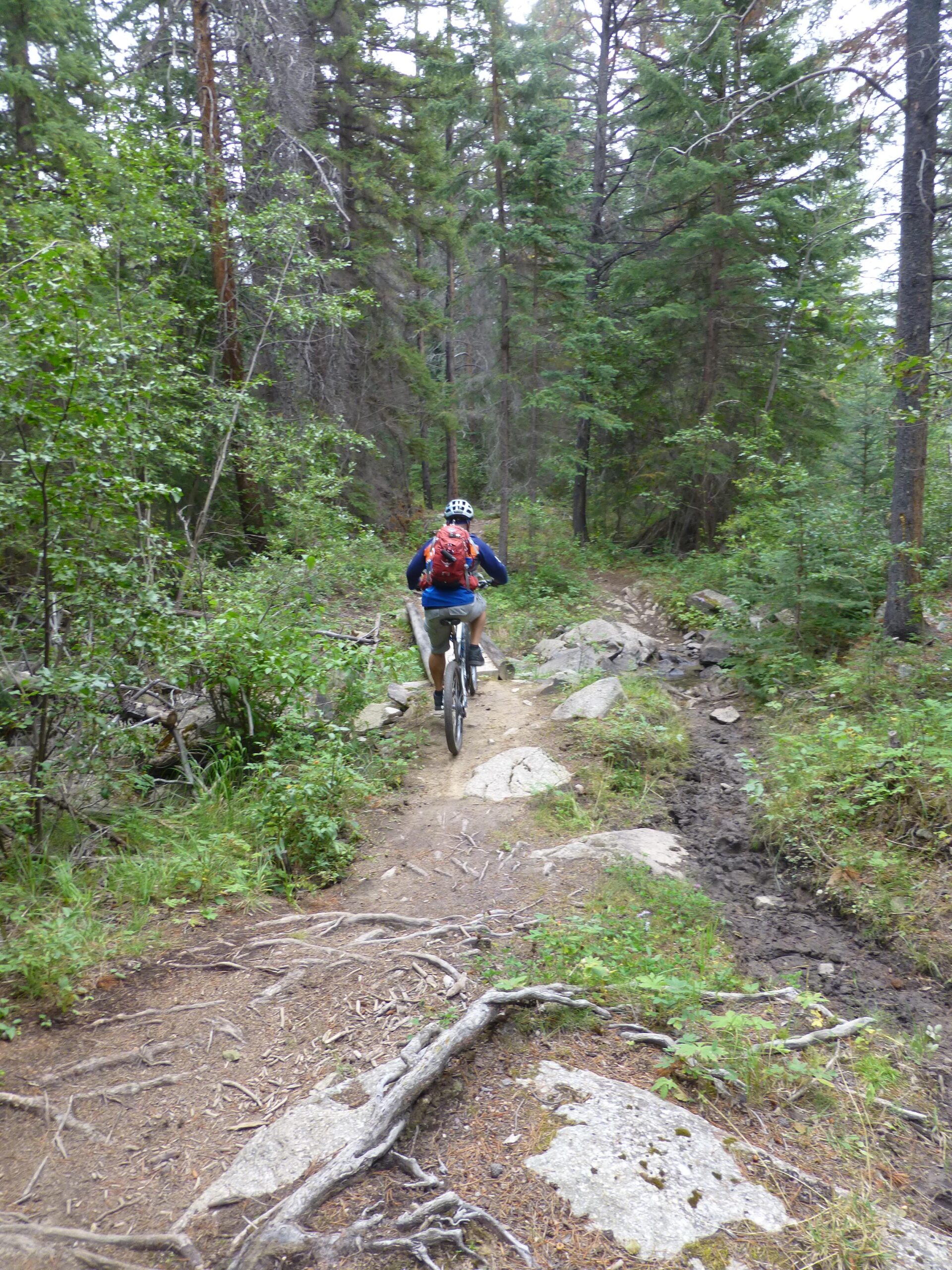 A mountain biker riding along a narrow, rocky trail in a lush green forest. The cyclist, wearing a helmet and a red backpack, navigates through the natural terrain surrounded by tall trees and underbrush. 12 to 5 to 5 / Valley of the Five Lakes and Wabasso Lake mountain bike trail.