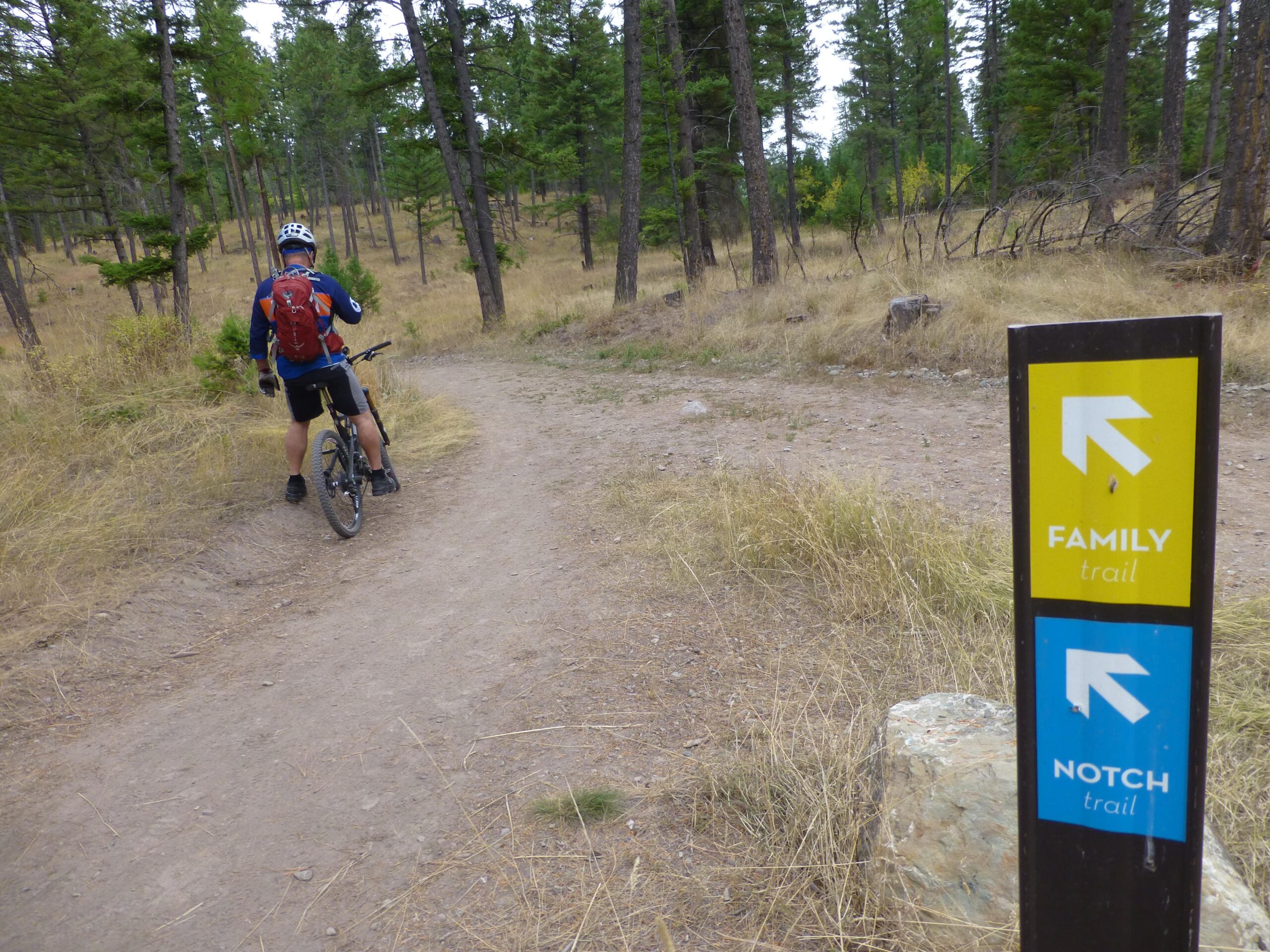 A mountain biker standing beside a trail sign at a fork in the path, which indicates directions for the "Family trail" and "Notch trail" in a wooded area with tall trees and dry grass. Herron Park/foys To Blacktail Trail mountain bike trail.