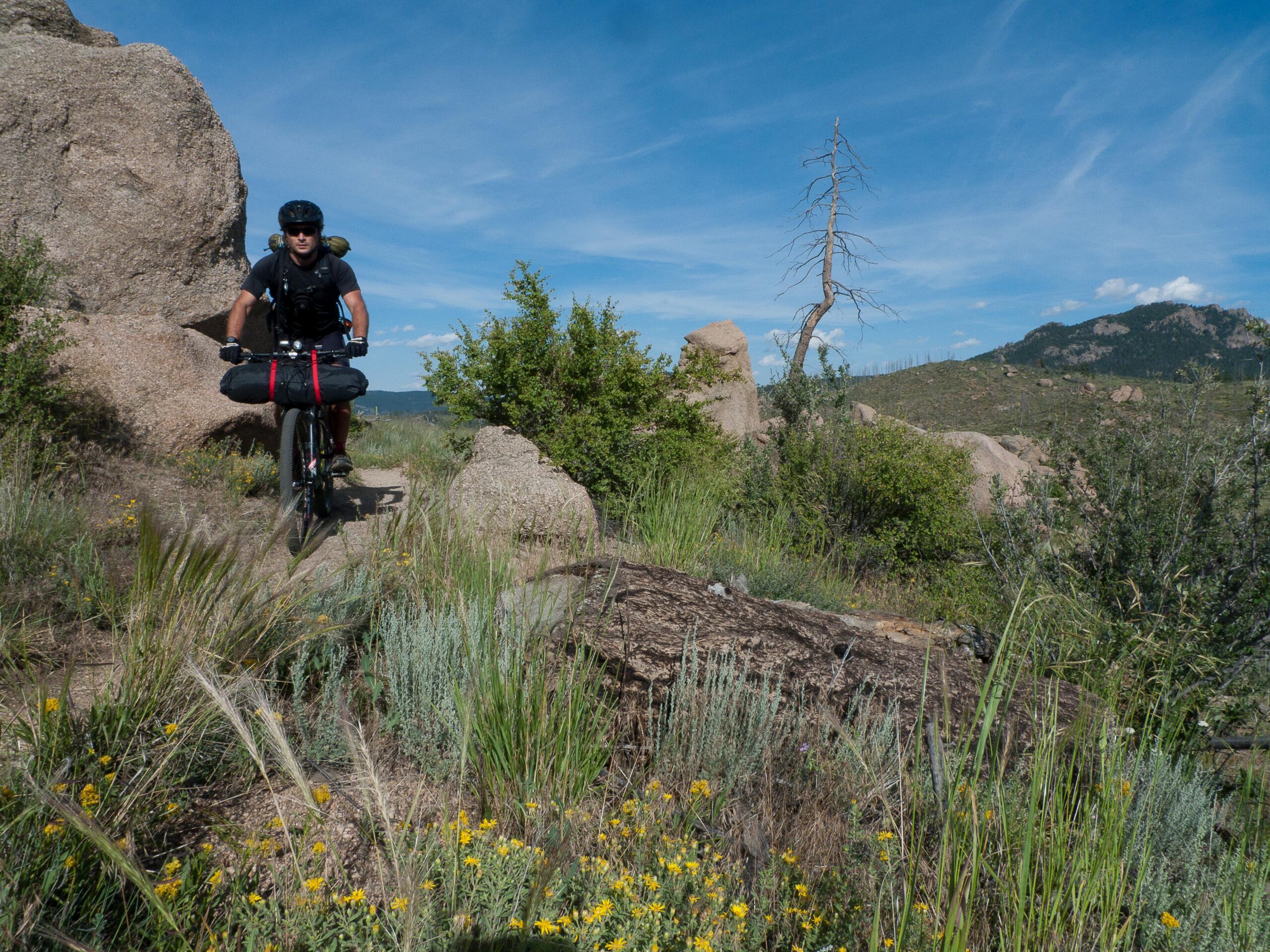 A cyclist riding a mountain bike along a rocky trail surrounded by wildflowers and green vegetation, with a clear blue sky and distant mountains in the background. The cyclist has a backpack and camping gear attached to the bike. Colorado Trail mountain bike trail.