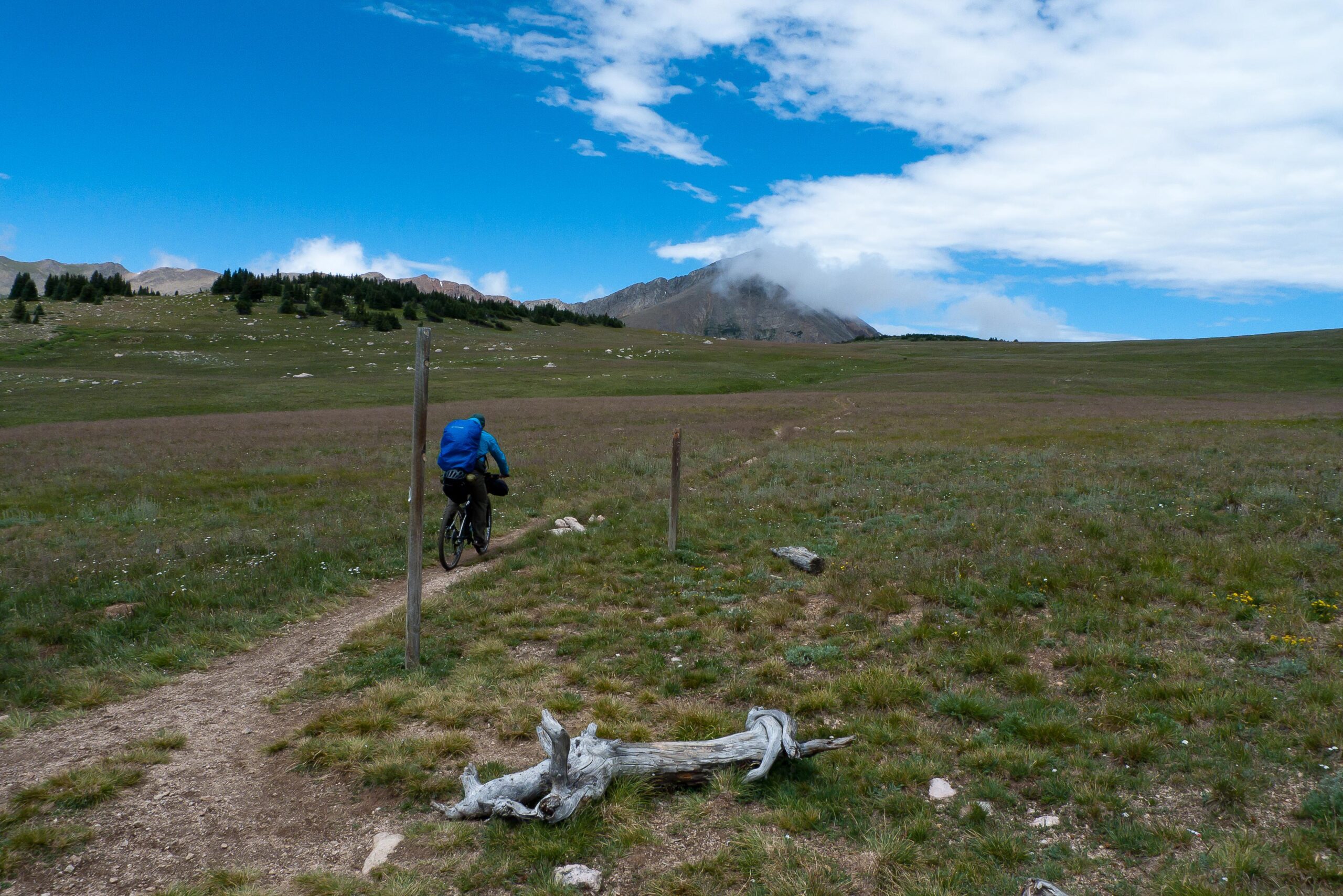A cyclist rides along a dirt trail through an open meadow, accompanied by mountains in the background under a partly cloudy sky. Green grass and scattered rocks are visible in the landscape, alongside a weathered log on the ground. Colorado Trail mountain bike trail.