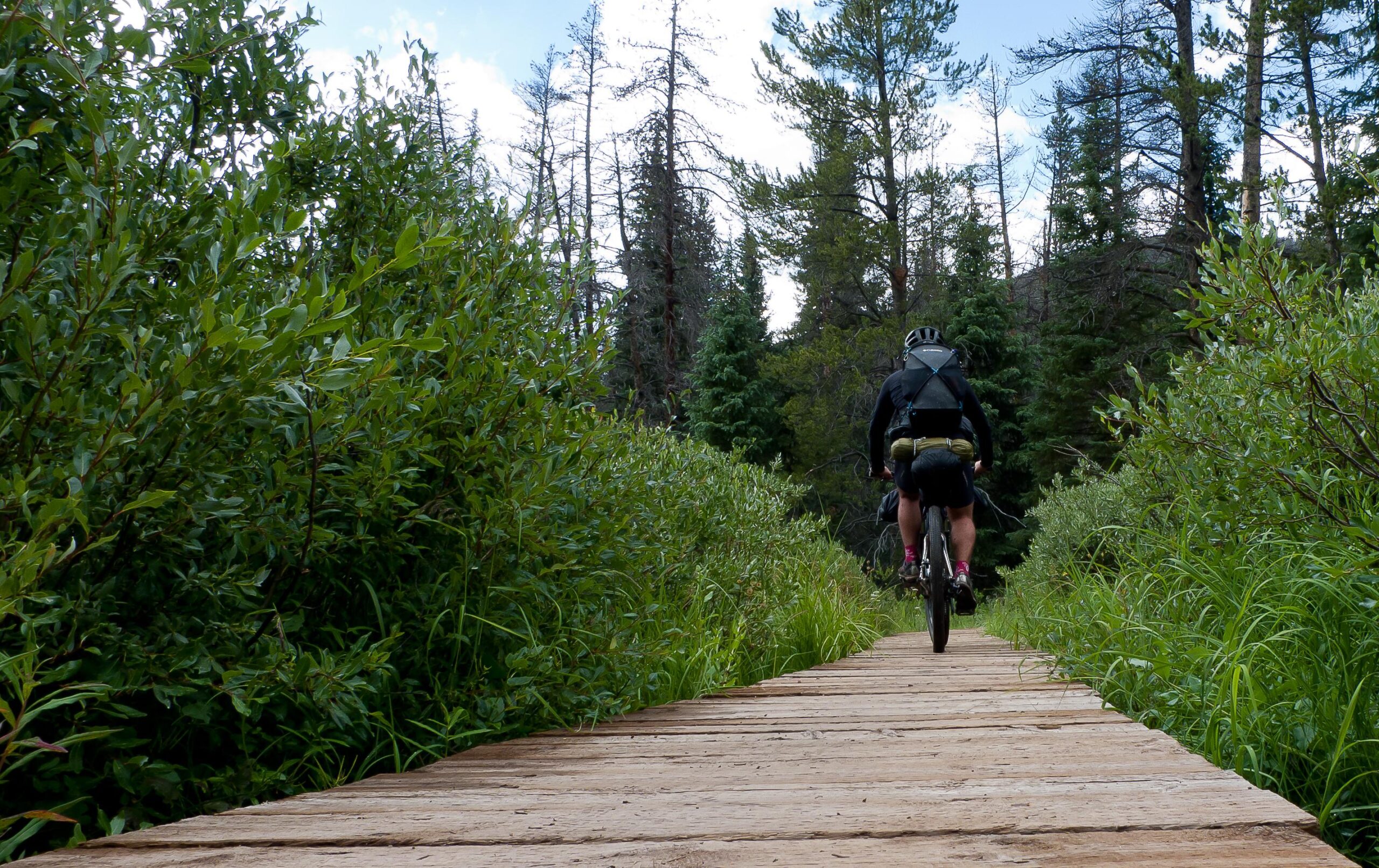 A cyclist riding on a wooden trail surrounded by lush greenery and tall trees, set in a natural landscape. Colorado Trail mountain bike trail.