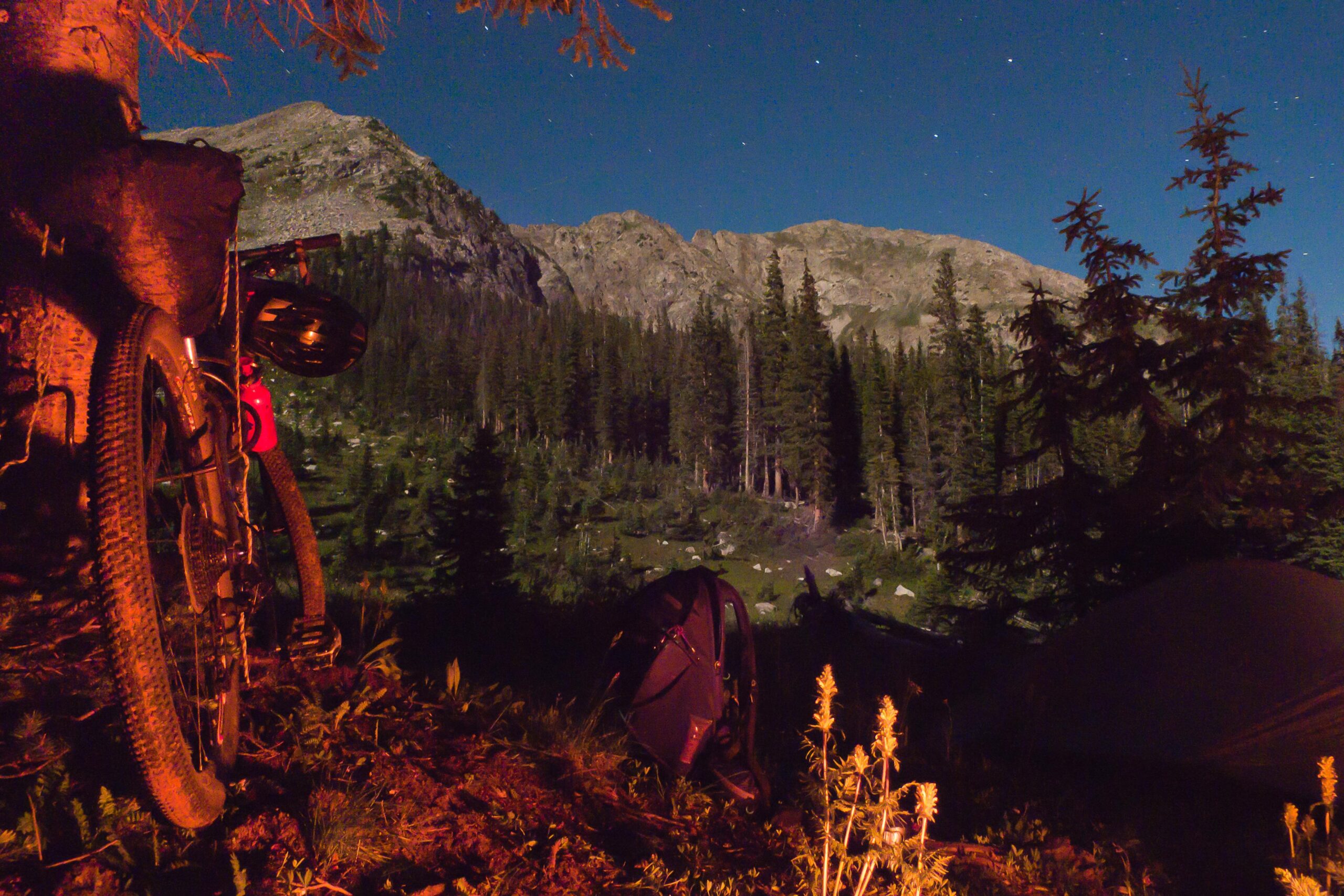 A nighttime camping scene featuring a bicycle leaned against a tree, with a backpack nearby. In the background, tall evergreen trees and rocky mountains are illuminated by the starry sky, creating a serene outdoor atmosphere. Colorado Trail mountain bike trail.