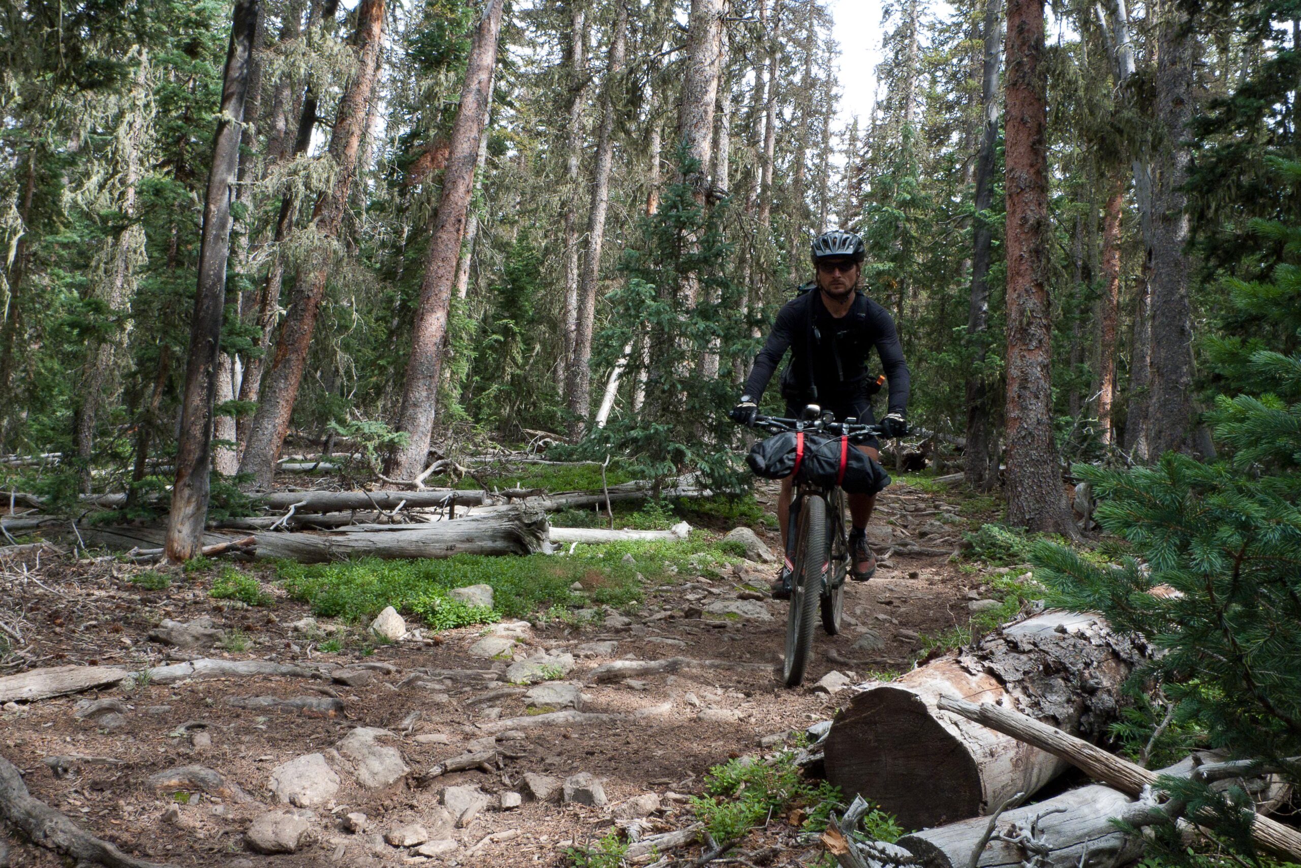 A cyclist riding a mountain bike on a rocky trail through a dense forest, surrounded by tall trees and fallen logs. The rider is wearing a helmet and athletic gear, navigating the natural terrain. Colorado Trail mountain bike trail.