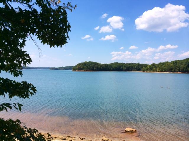 A serene lakeside view featuring calm blue waters under a clear sky with scattered clouds. Lush green trees line the shoreline, creating a peaceful natural setting. A few rocks are visible on the sandy edge of the lake, and a couple of ducks can be seen swimming in the distance. Paynes Creek mountain bike trail.