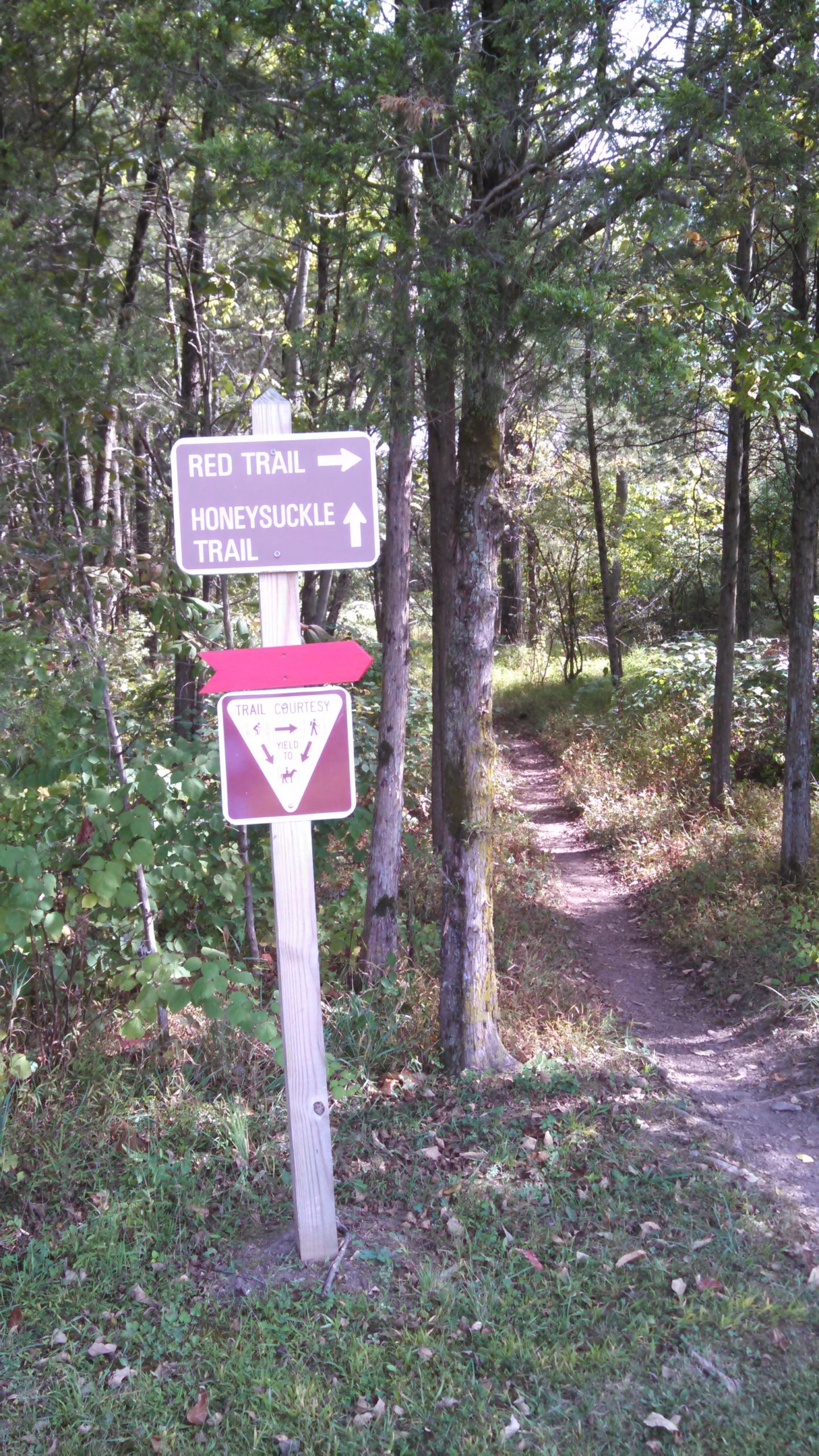 A wooden trail sign indicating the direction of the Red Trail and Honeysuckle Trail, set in a lush forested area. The sign includes a triangular "Trail Courtesy" symbol advising visitors to yield to horses and pedestrians. A narrow, winding path leads into the woods, surrounded by greenery and trees. Green Lane mountain bike trail.