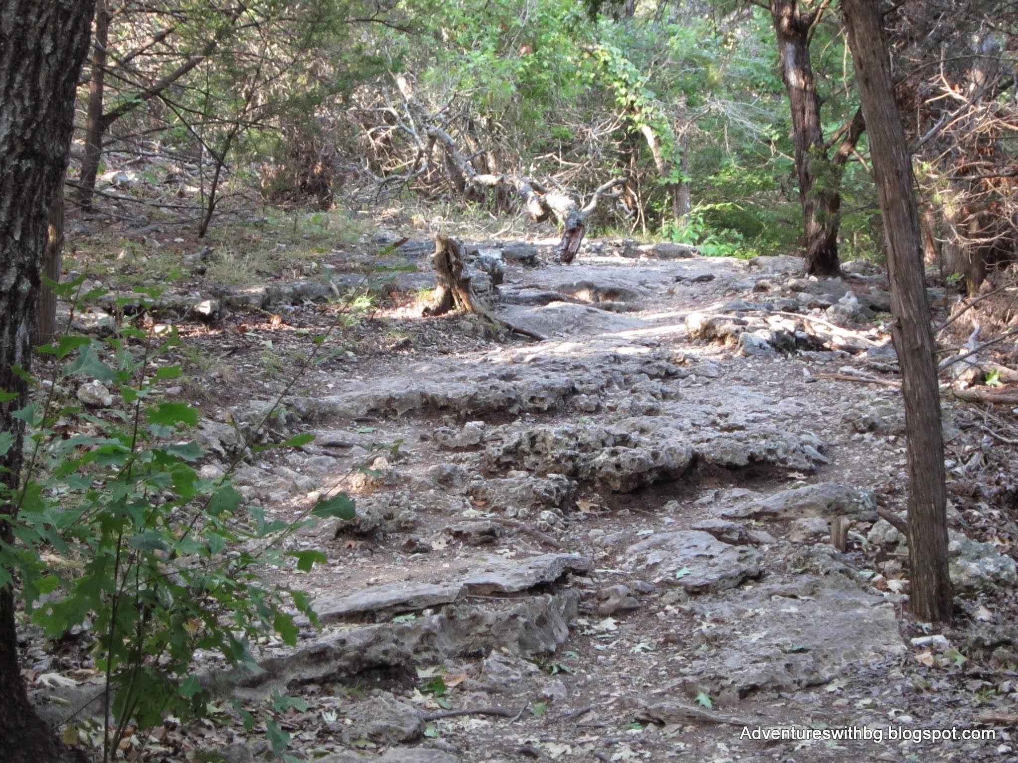 A rocky trail winding through a wooded area, surrounded by trees and scattered underbrush, with sunlight filtering through the leaves. Goodwater Trail mountain bike trail.