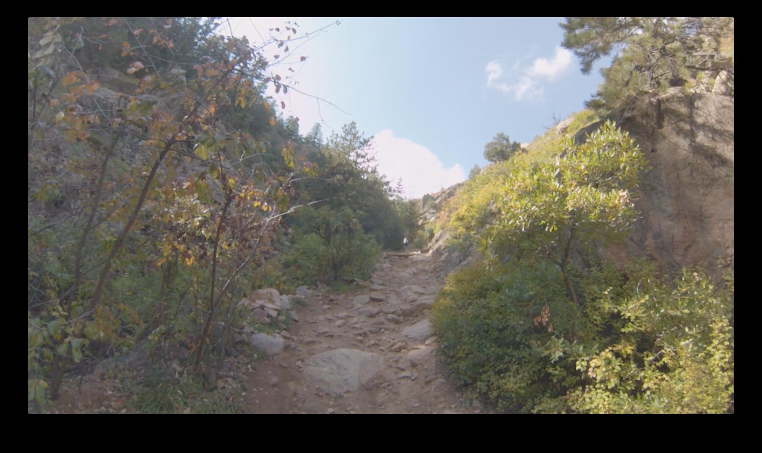A rocky hiking trail winding through a natural landscape, surrounded by green shrubs and trees, with a clear blue sky overhead. Deer Creek Canyon mountain bike trail.