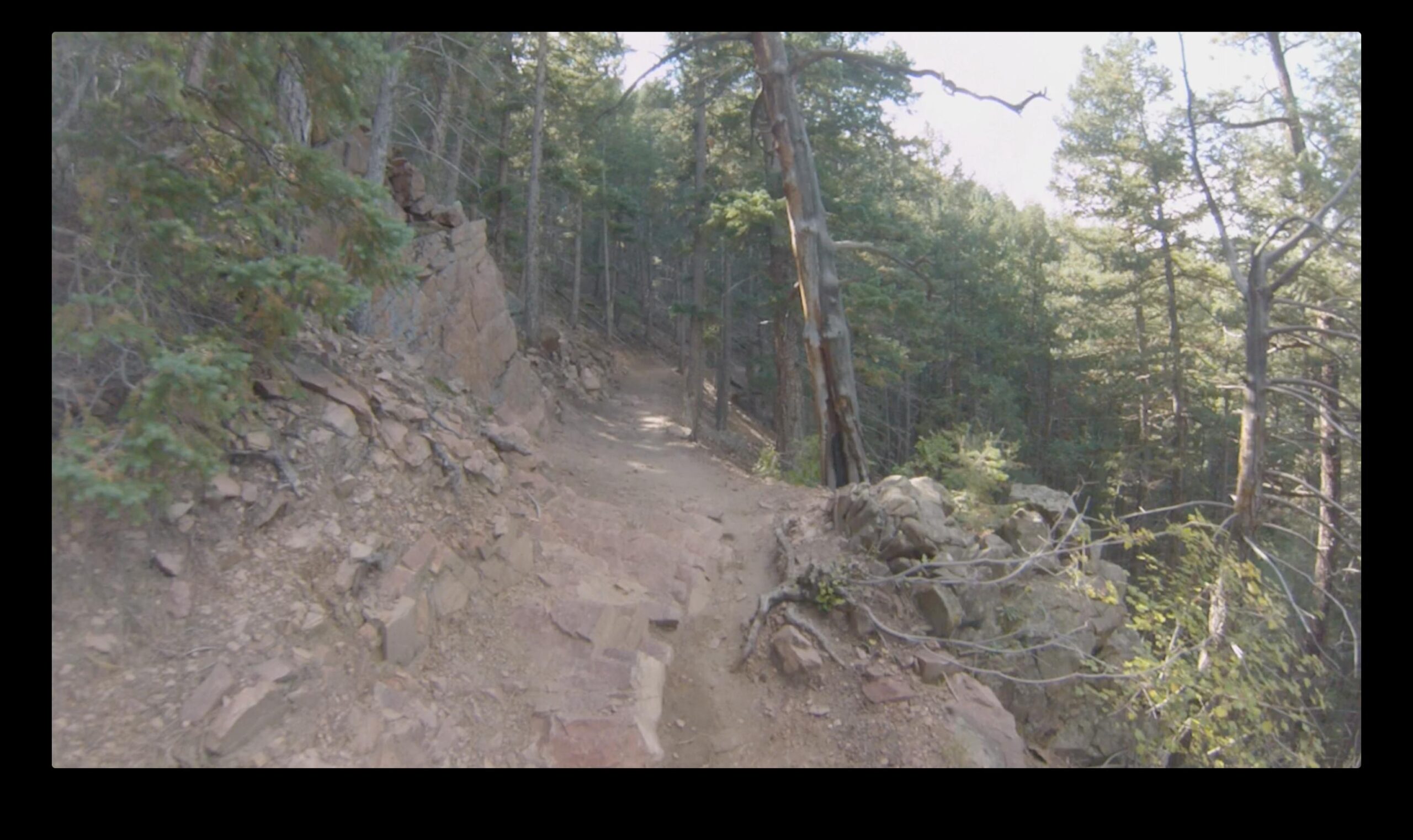 A winding dirt trail surrounded by trees and rocky terrain in a forested area. Sunlight filters through the foliage, illuminating the pathway. Deer Creek Canyon mountain bike trail.