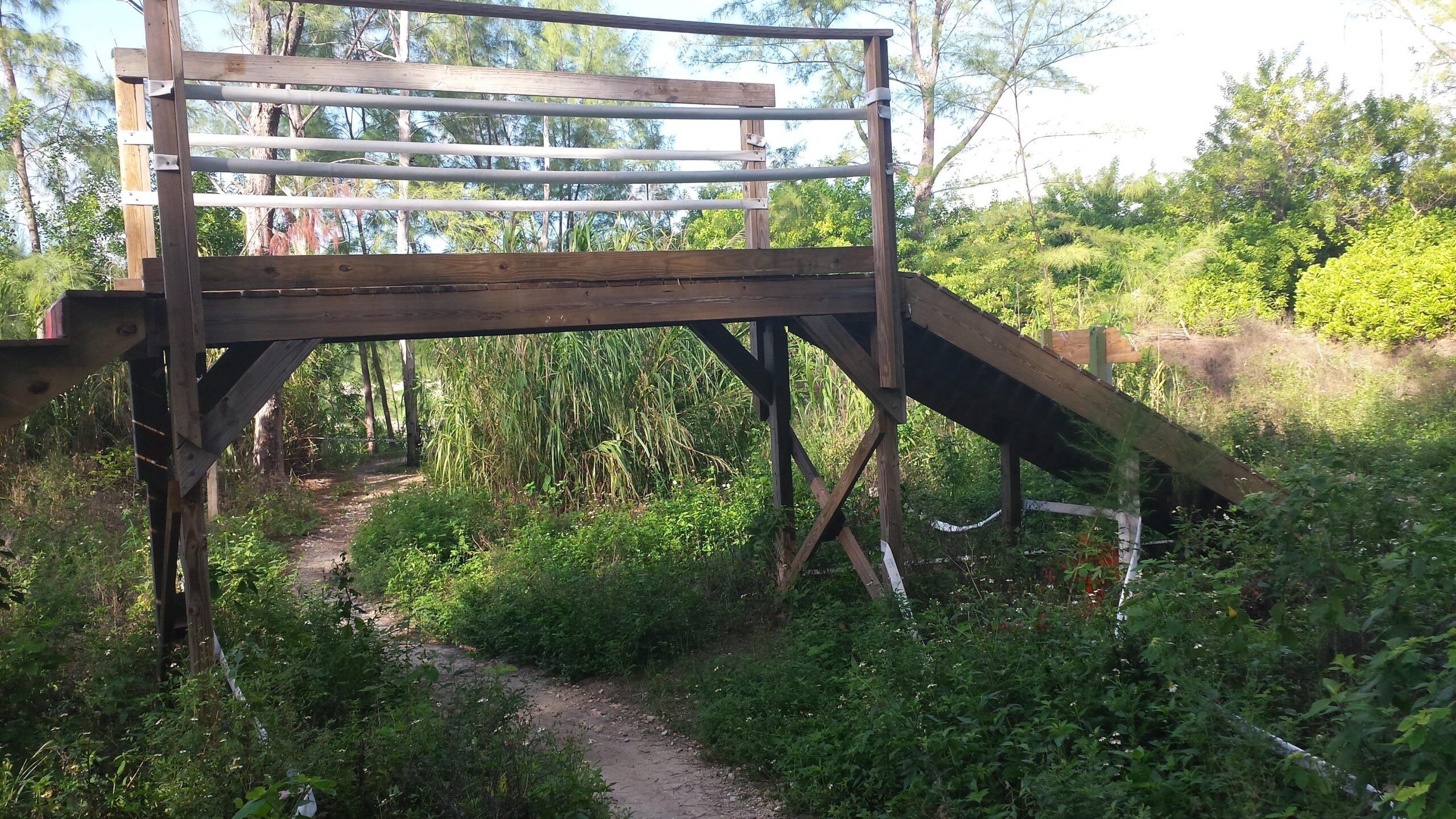  Virginia Key North Point mountain bike trail.
