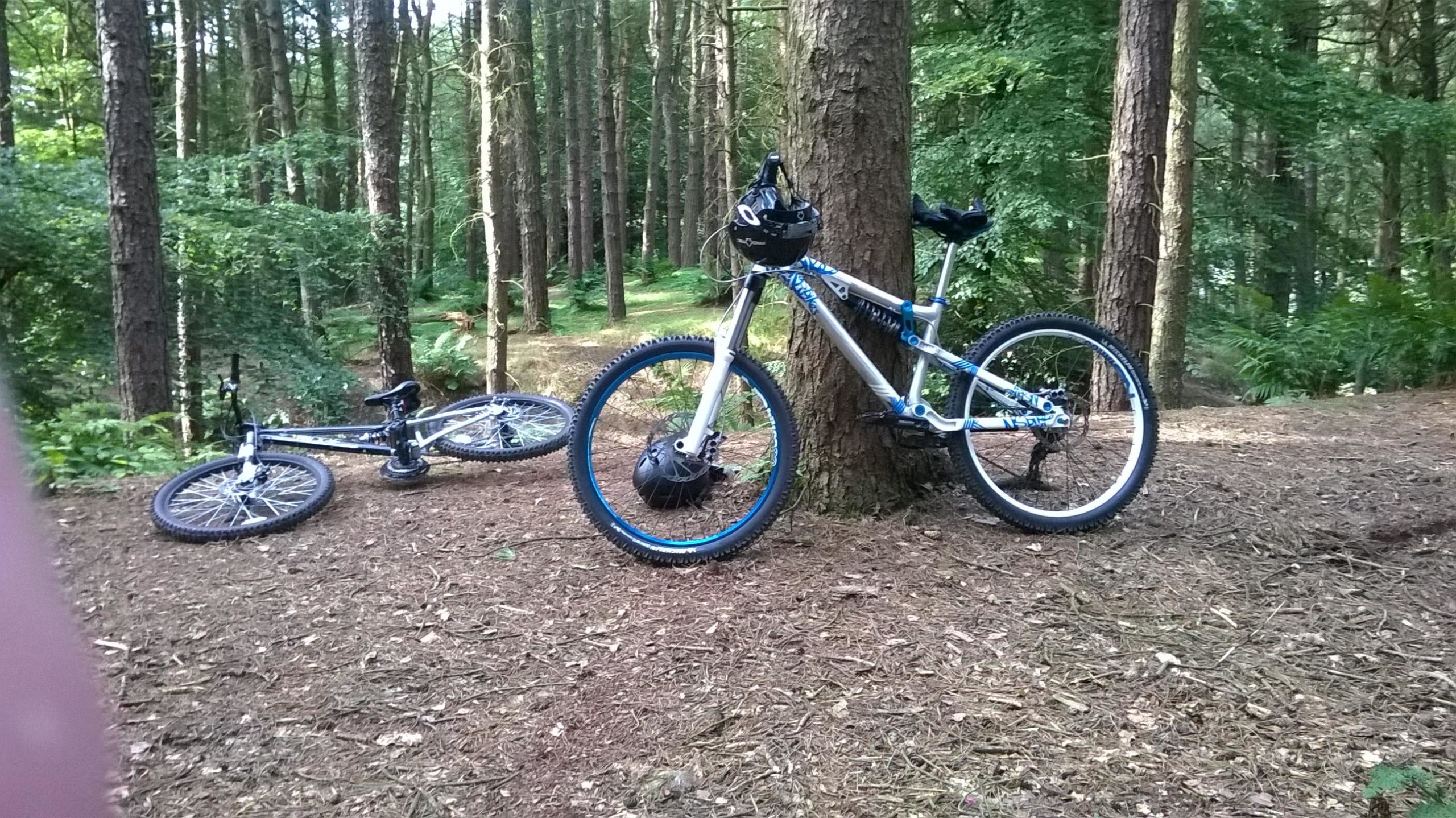 Two mountain bikes resting in a forest setting. One bike is leaning against a tree while the other is lying on the ground nearby. The area is surrounded by tall trees and green foliage, with a forest floor covered in pine needles and small plants. Hurstwood Reservoir mountain bike trail.