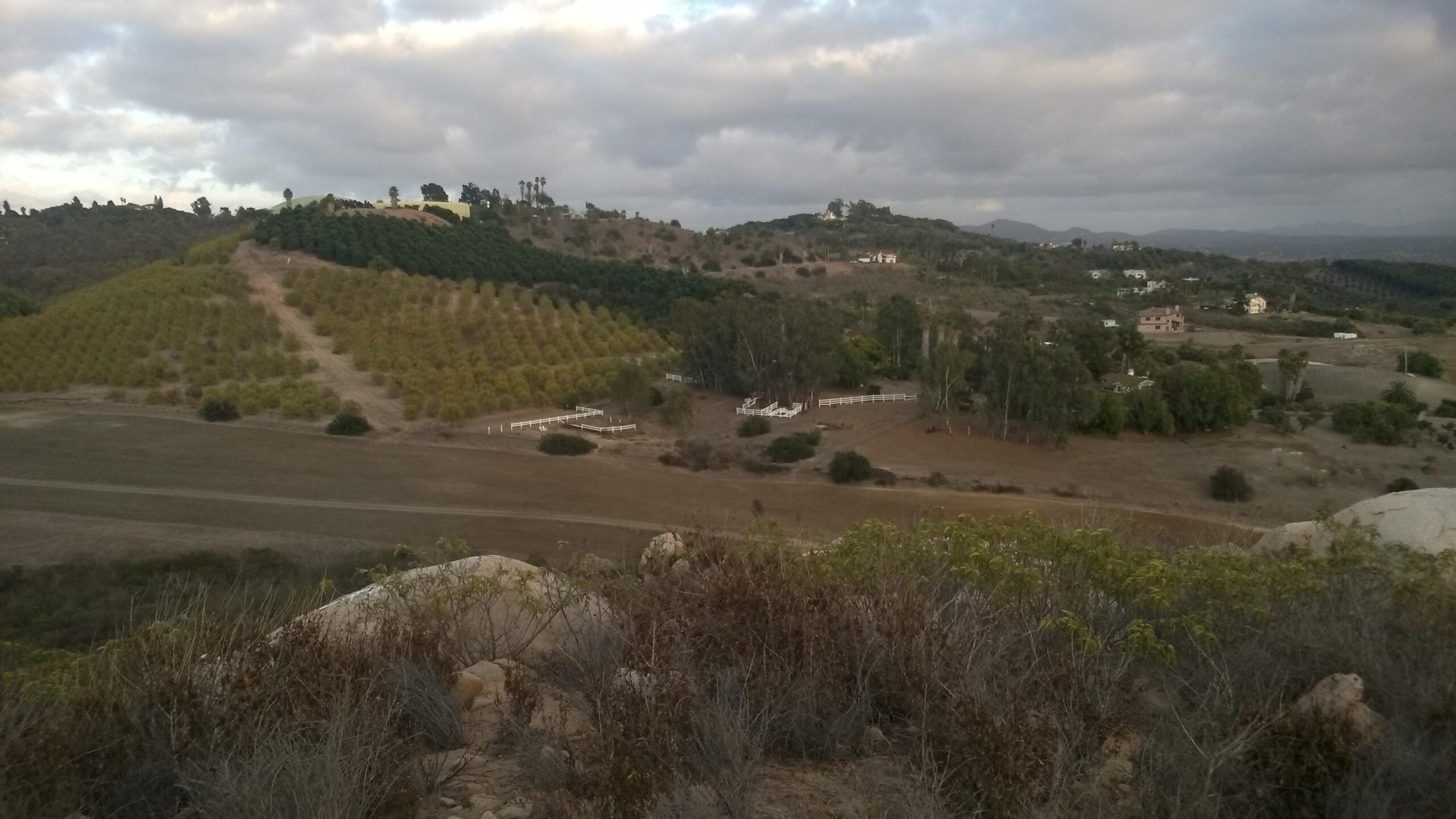 A scenic view of hilly terrain featuring rows of green trees and shrubs, with distant homes visible in the landscape under a cloudy sky. San Luis Rey mountain bike trail.