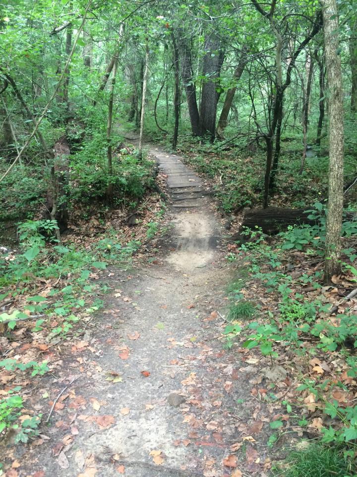 A dirt path meanders through a lush green forest, surrounded by trees and undergrowth. Leaves and twigs cover the ground, creating a natural walkway that invites exploration. The scene conveys a peaceful, outdoor setting rich with vegetation. Winona Lake Trail mountain bike trail.