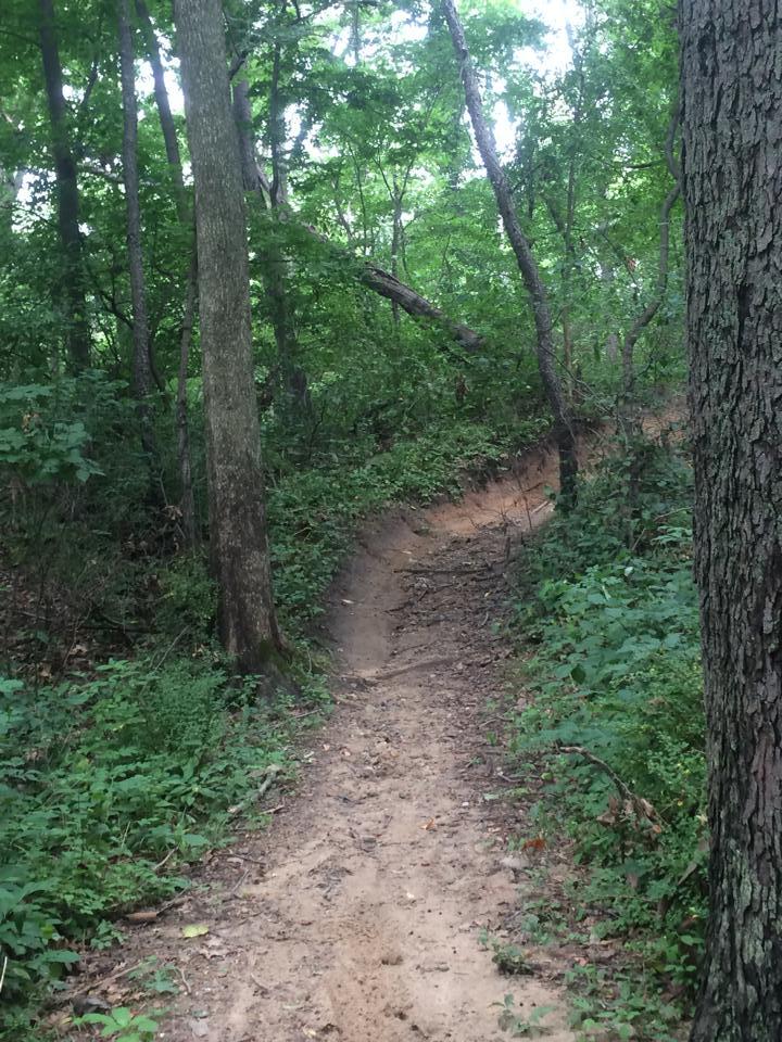 A winding dirt path through a dense forest, surrounded by lush green foliage and tree trunks. The trail appears to lead into the distance, with gentle curves and natural earthy tones. Winona Lake Trail mountain bike trail.
