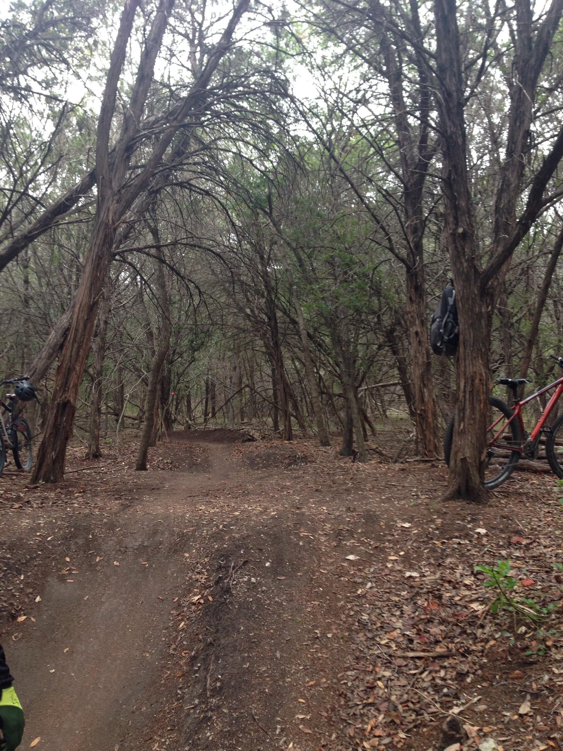 A dirt cycling path winding through a forested area, surrounded by tall trees with sparse foliage. A bicycle is parked on the left side of the path, and there is a black backpack hanging from a nearby tree branch. The ground is covered with dried leaves and the atmosphere appears overcast. Dana Peak mountain bike trail.