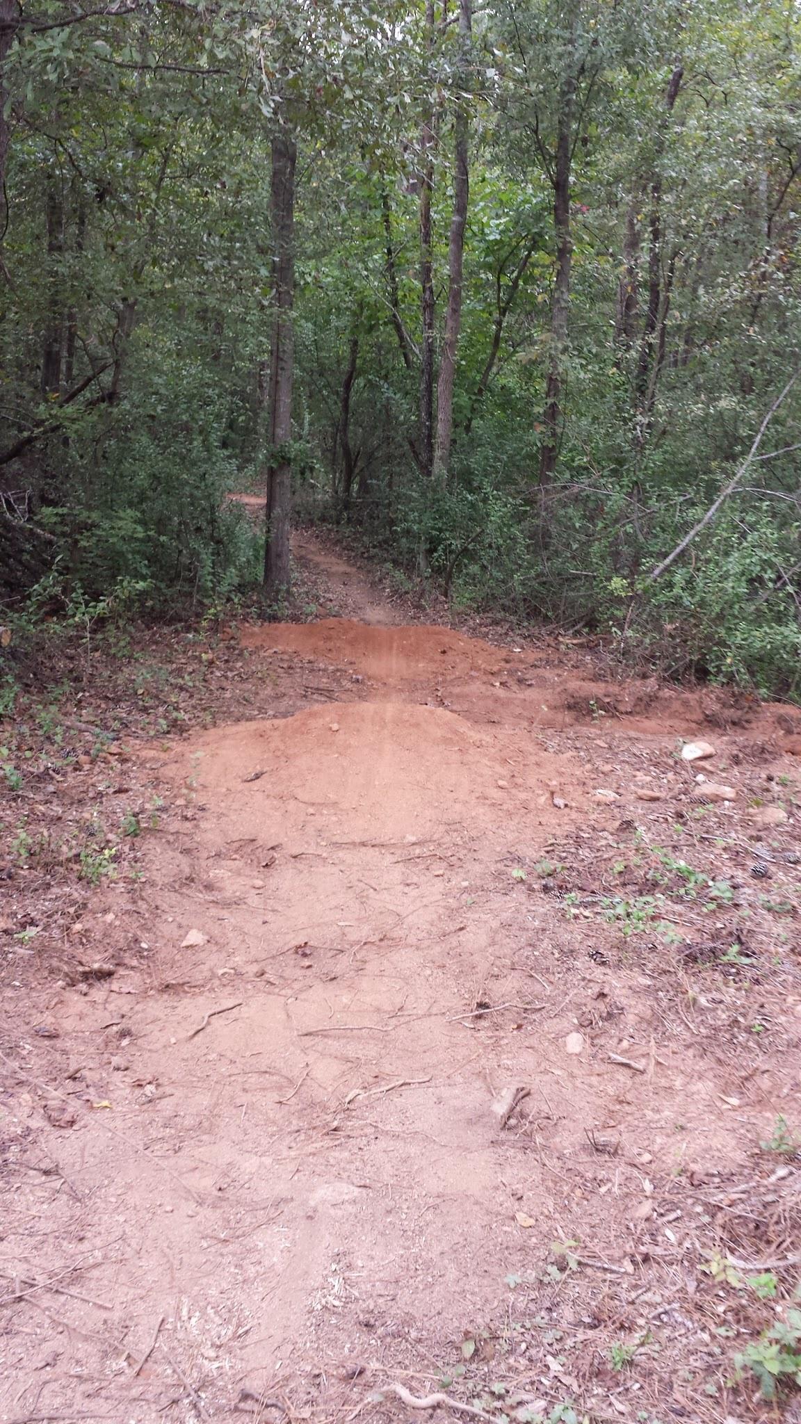 A narrow dirt path winding through a dense forest, surrounded by tall trees and lush green foliage, with a small dirt jump feature visible on the trail. Trail Creek Park mountain bike trail.
